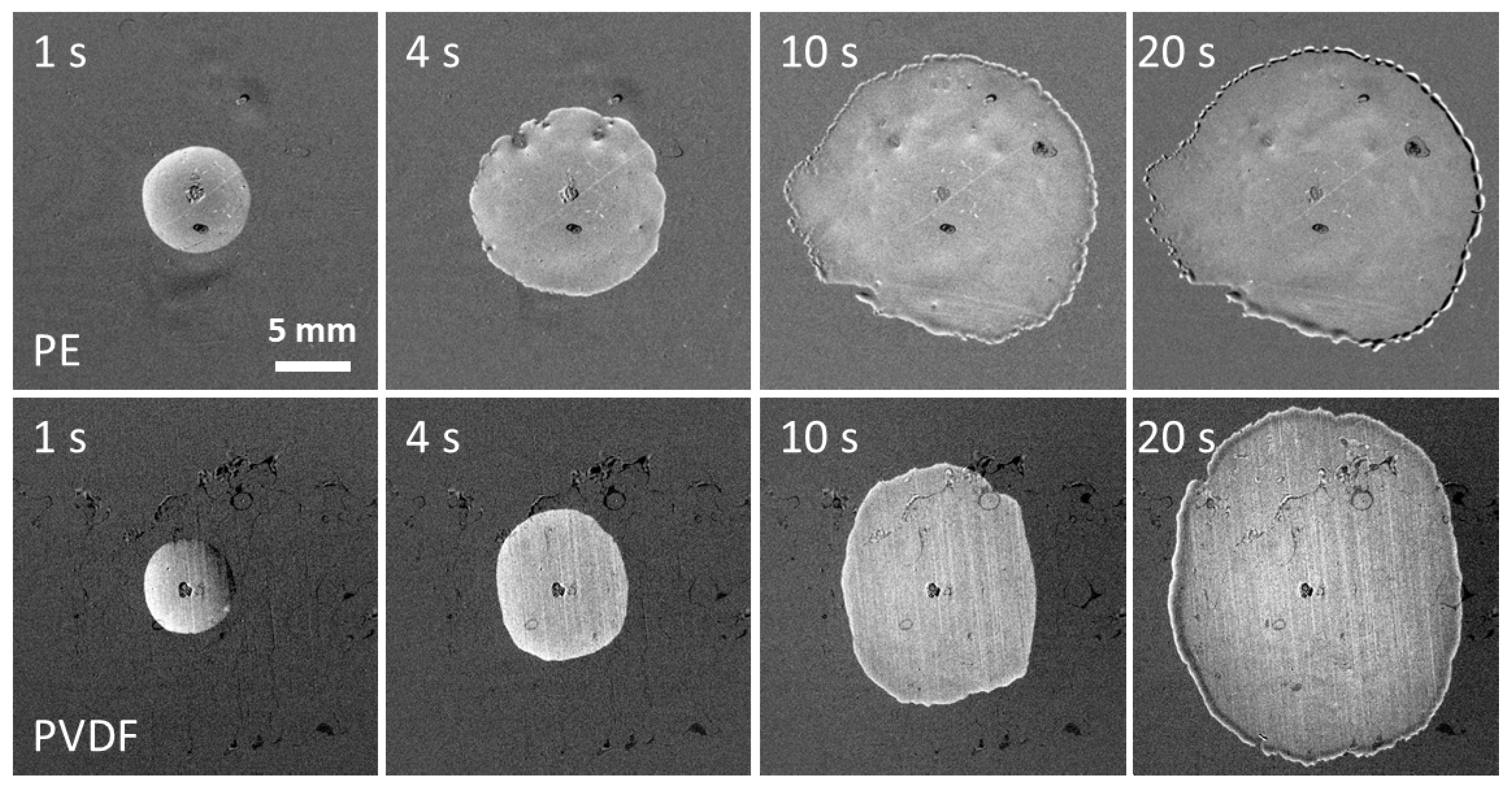 Colloids 03 00051 g005