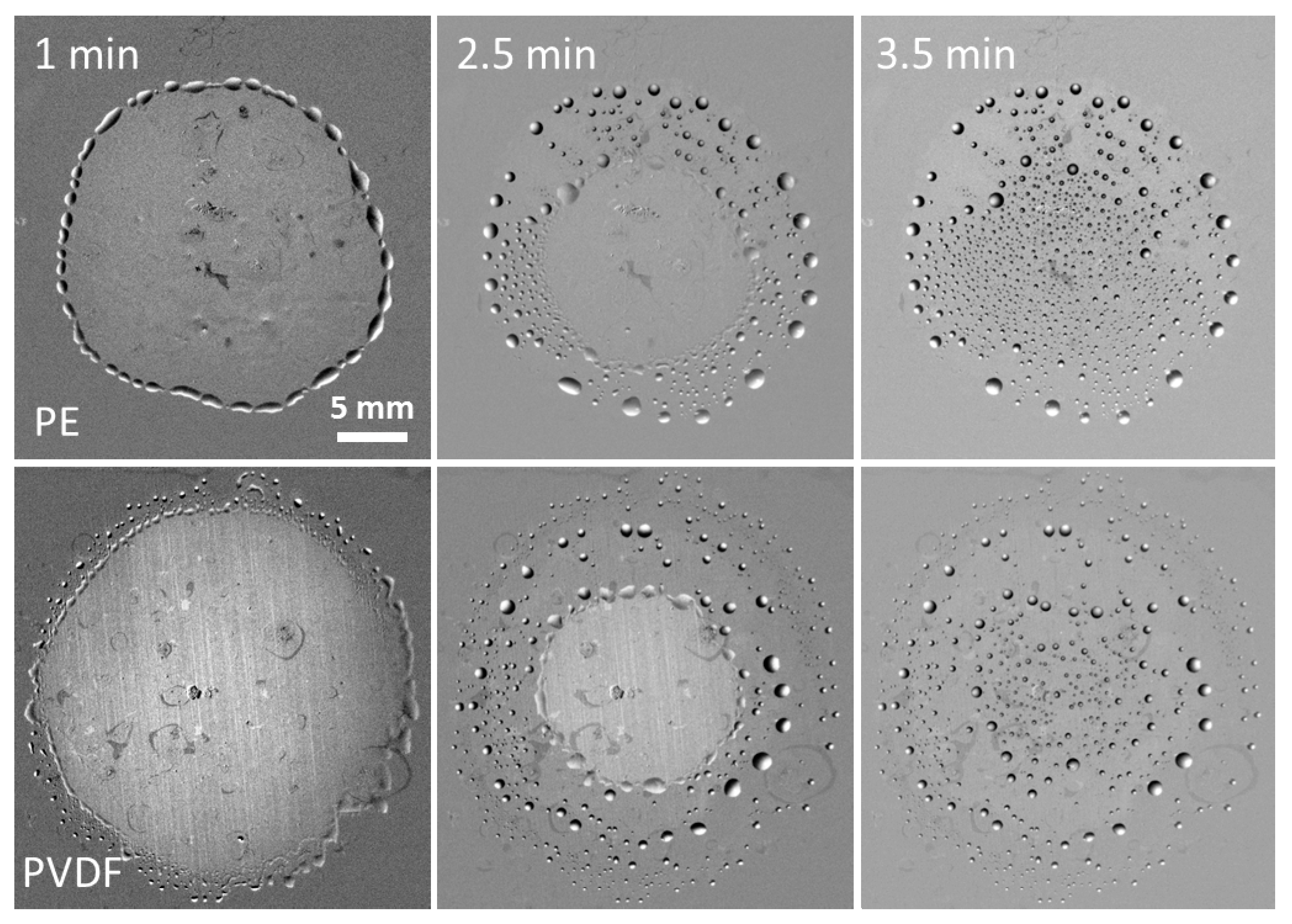 Colloids 03 00051 g006
