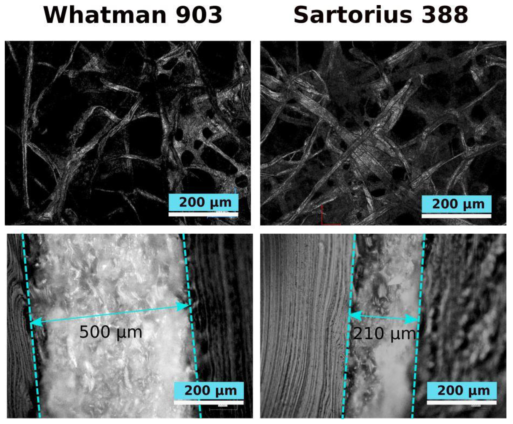 Colloids 03 00053 g005
