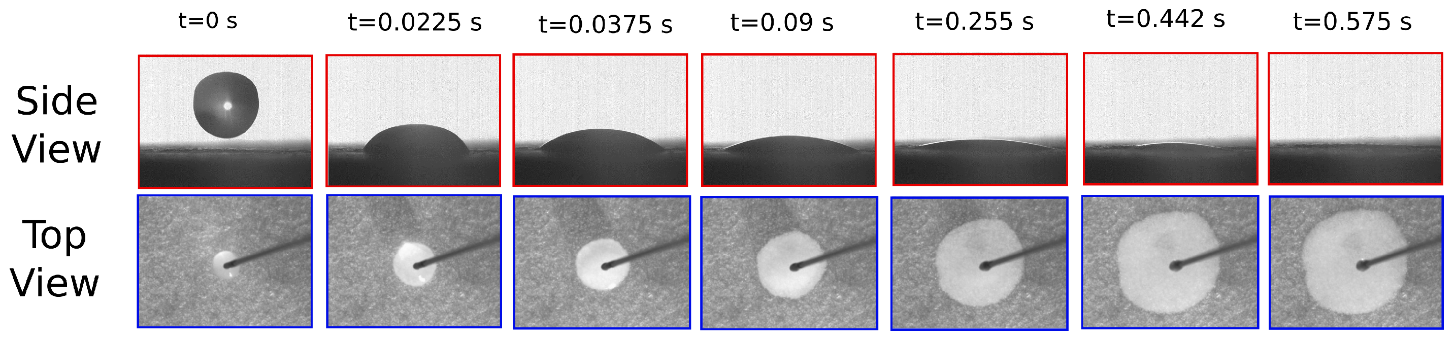 Colloids 03 00053 g007