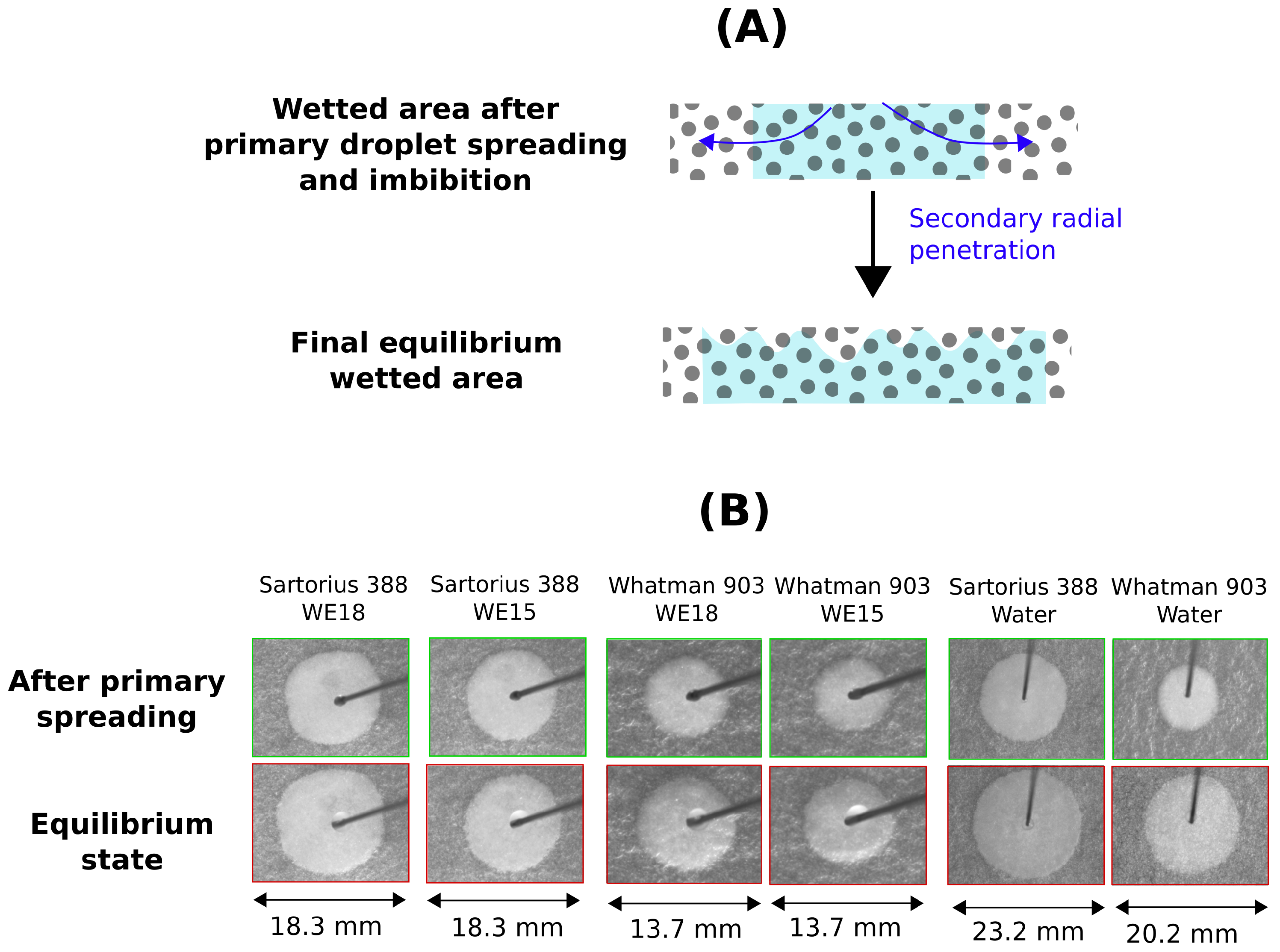Colloids 03 00053 g010