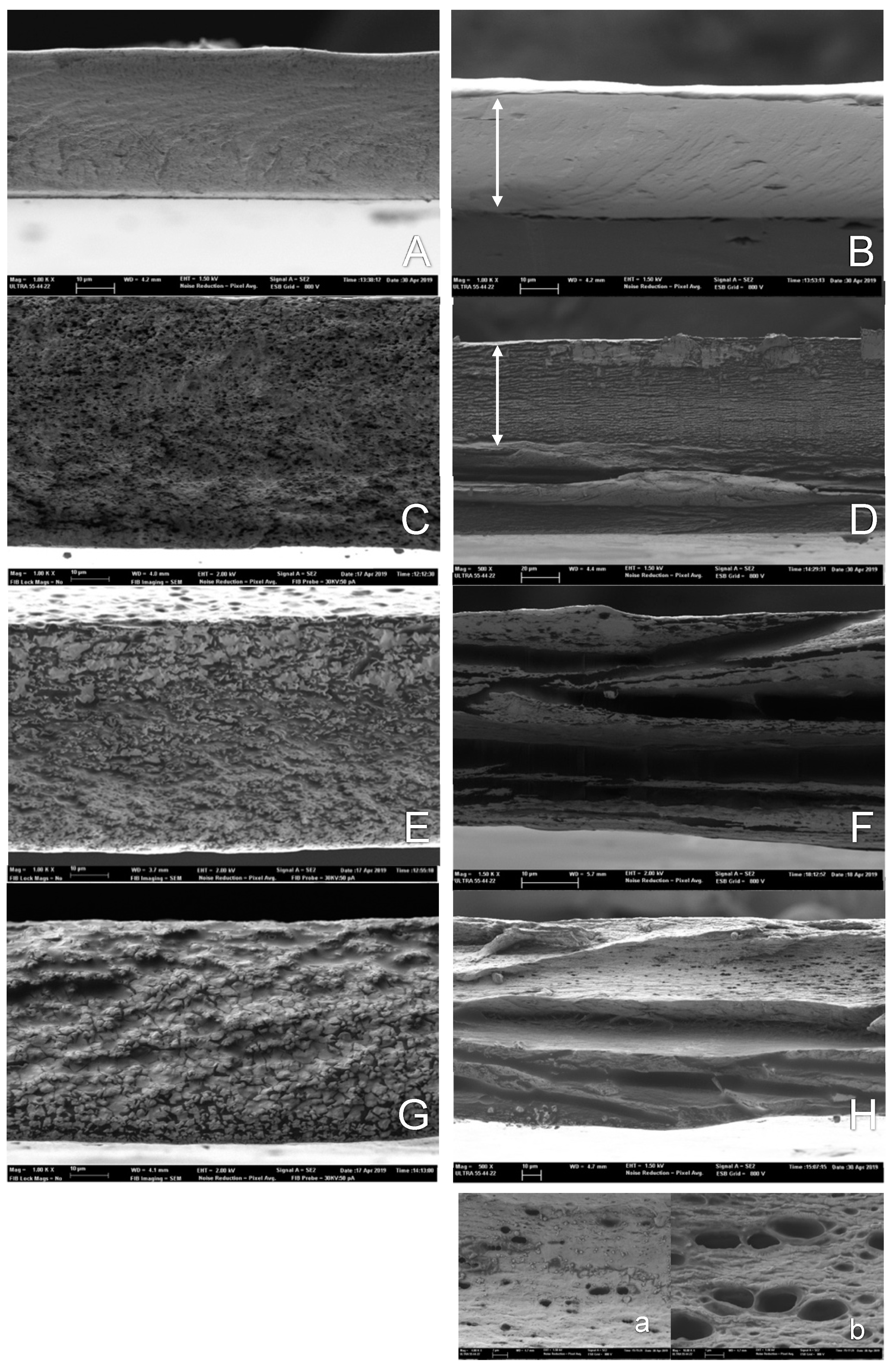 Colloids 03 00058 g003 Colloids 03 00058 g003