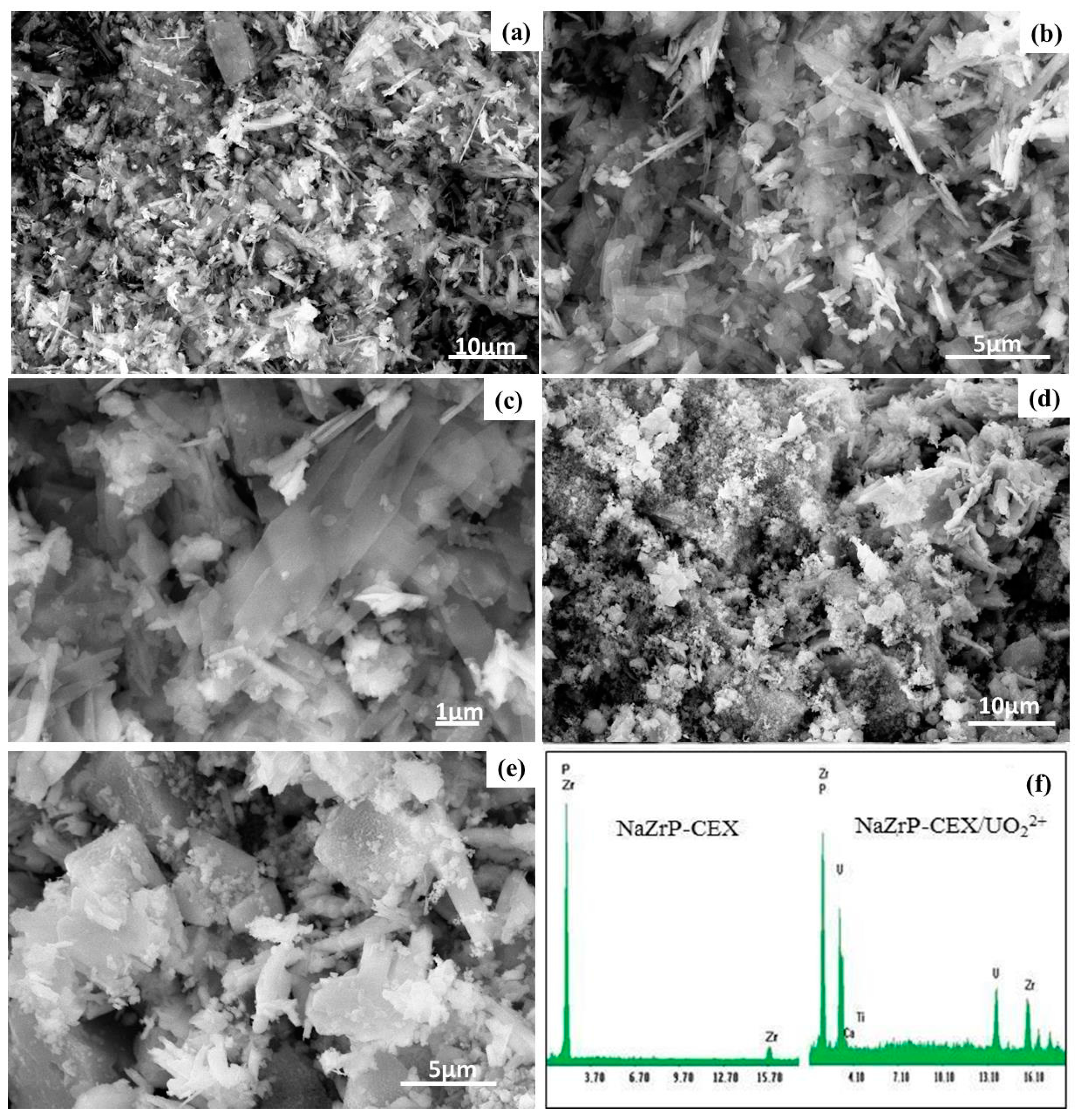 Colloids 03 00061 g003