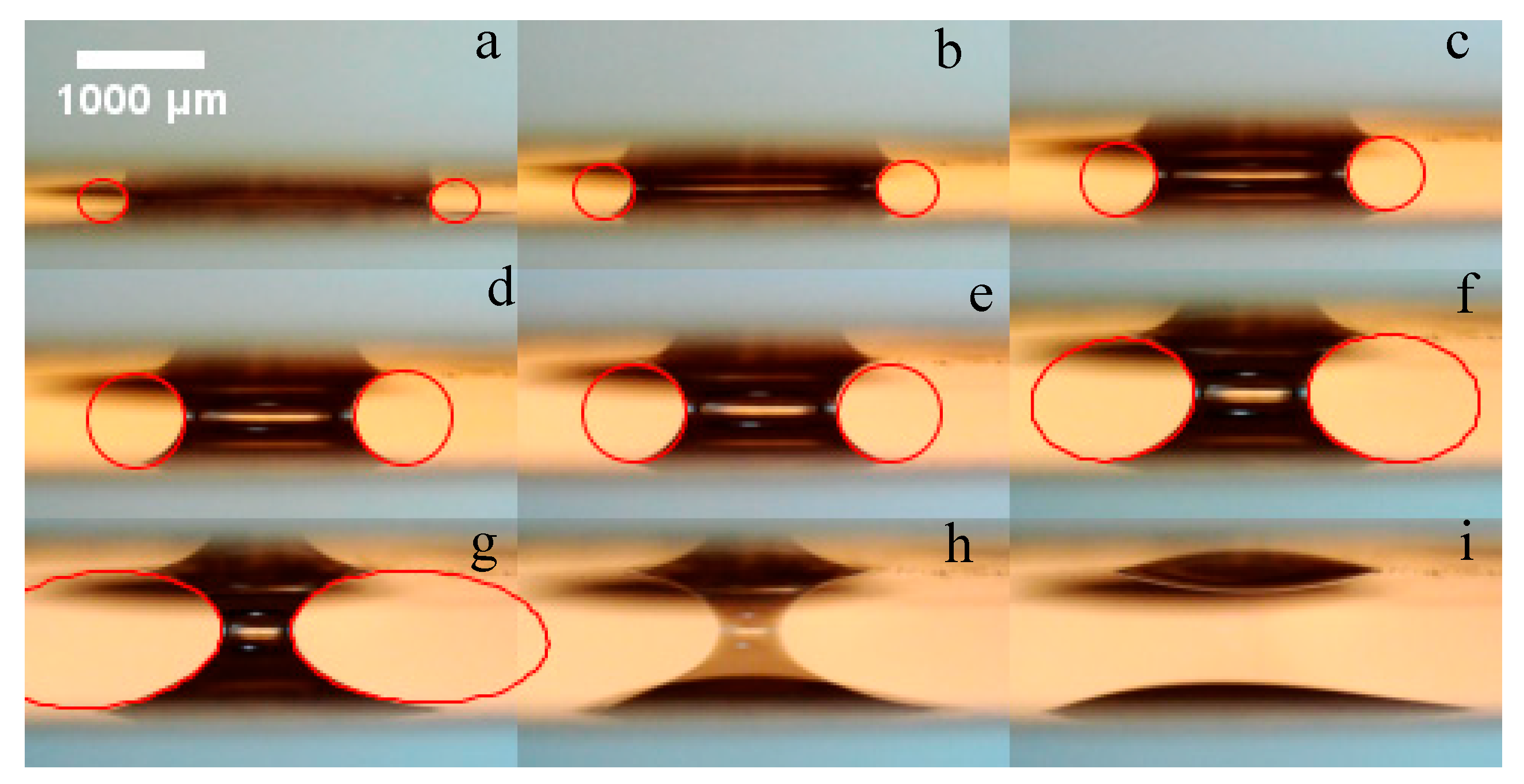 Colloids 03 00068 g005