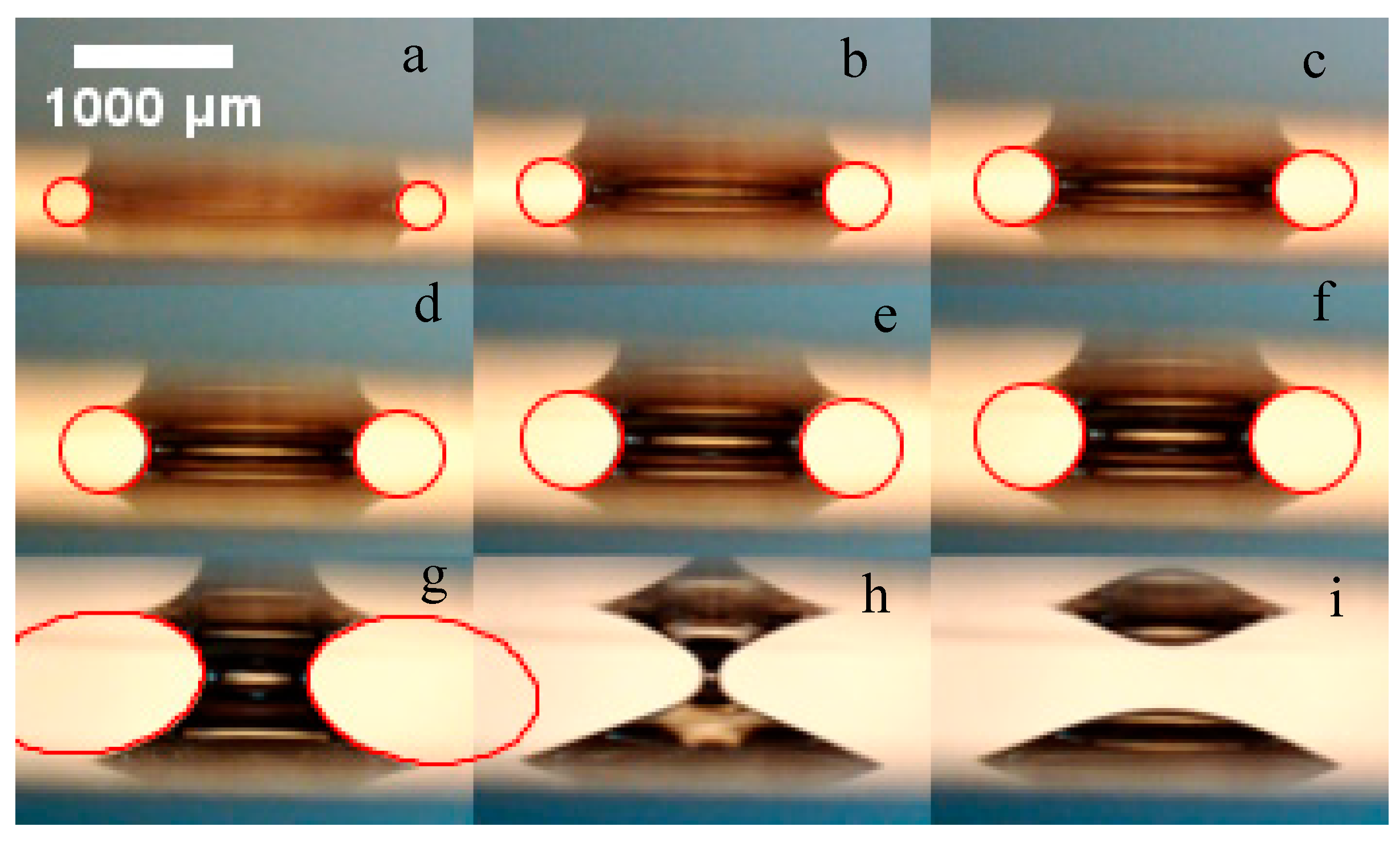 Colloids 03 00068 g006