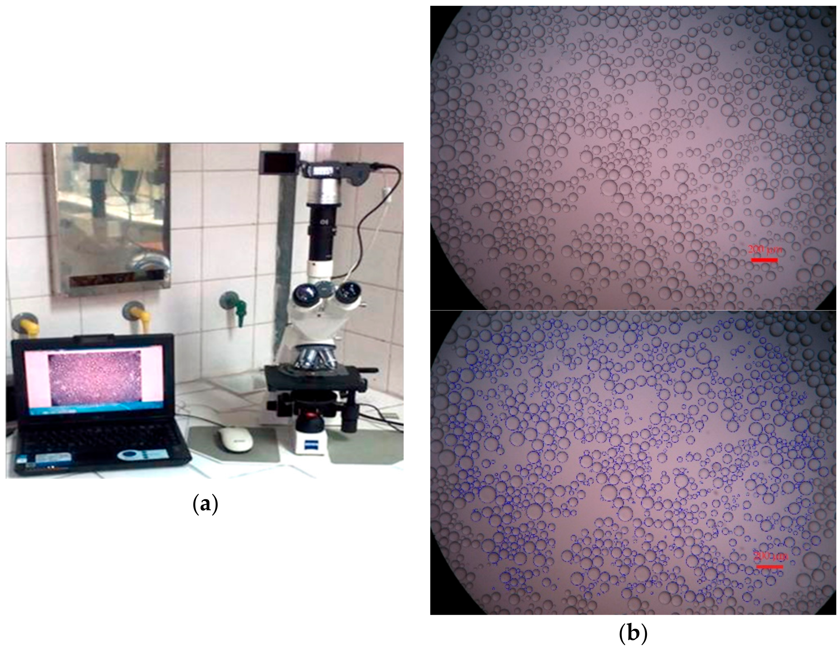 Colloids 04 00007 g004
