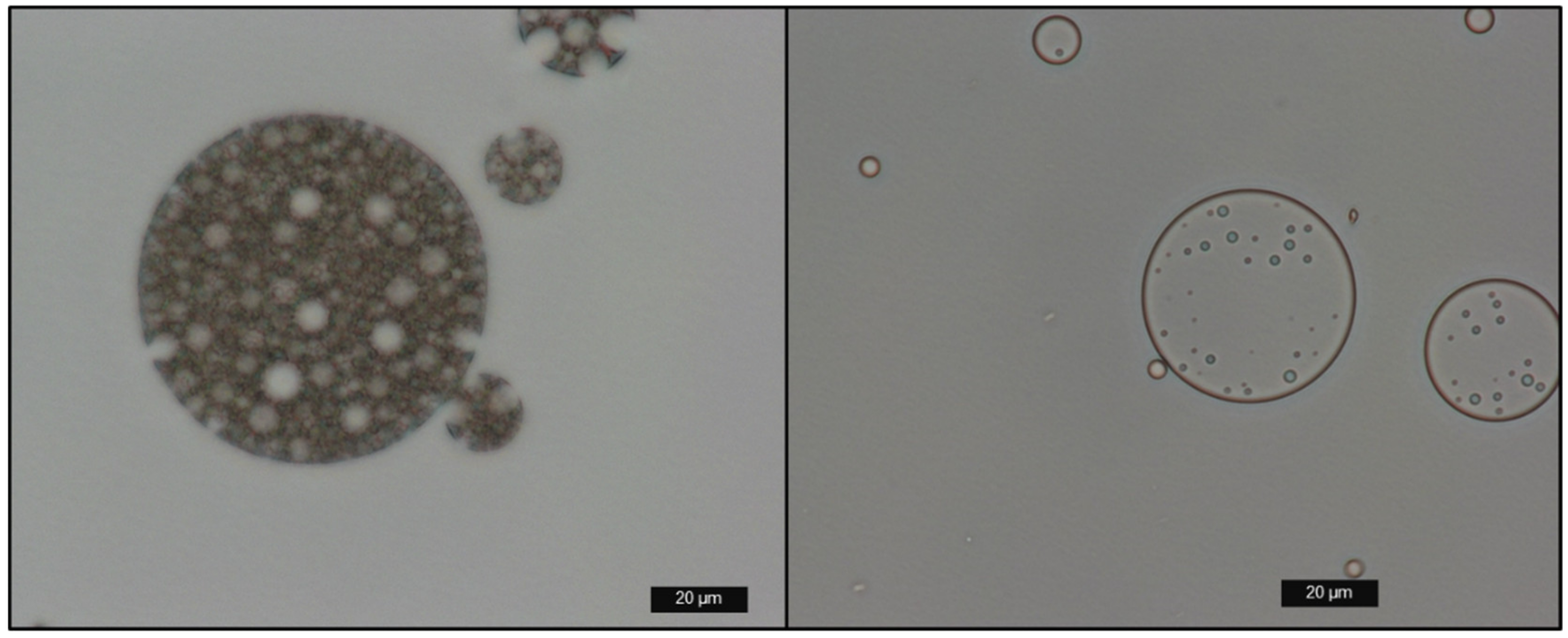 Colloids 04 00008 g003