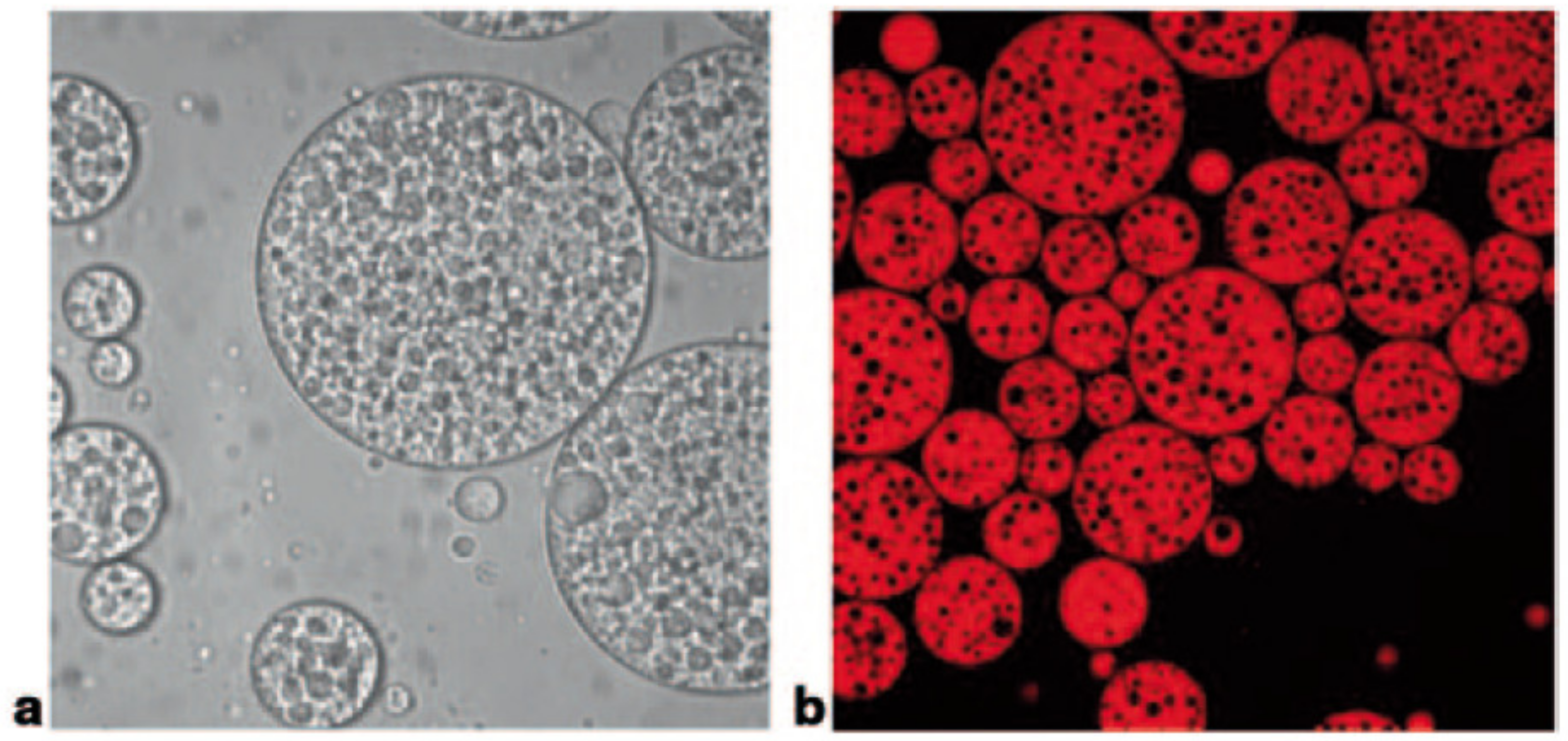 Colloids 04 00008 g004
