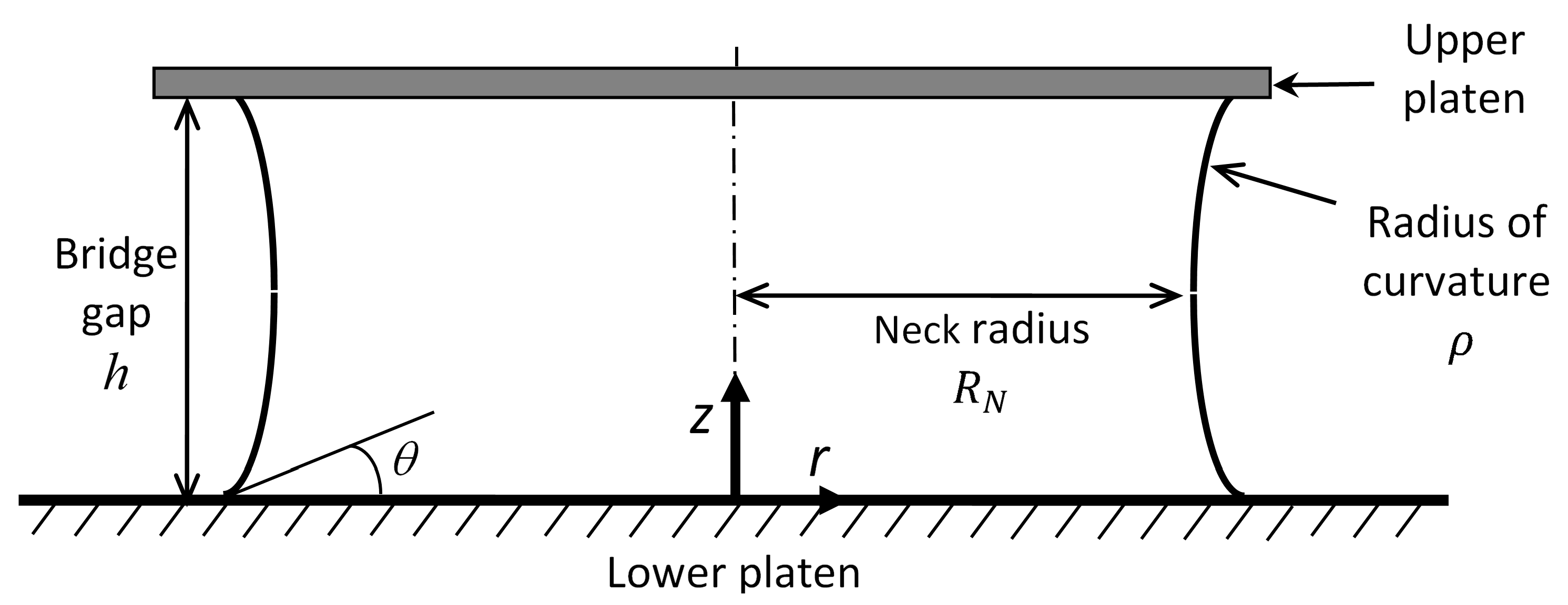 Colloids 04 00013 g001