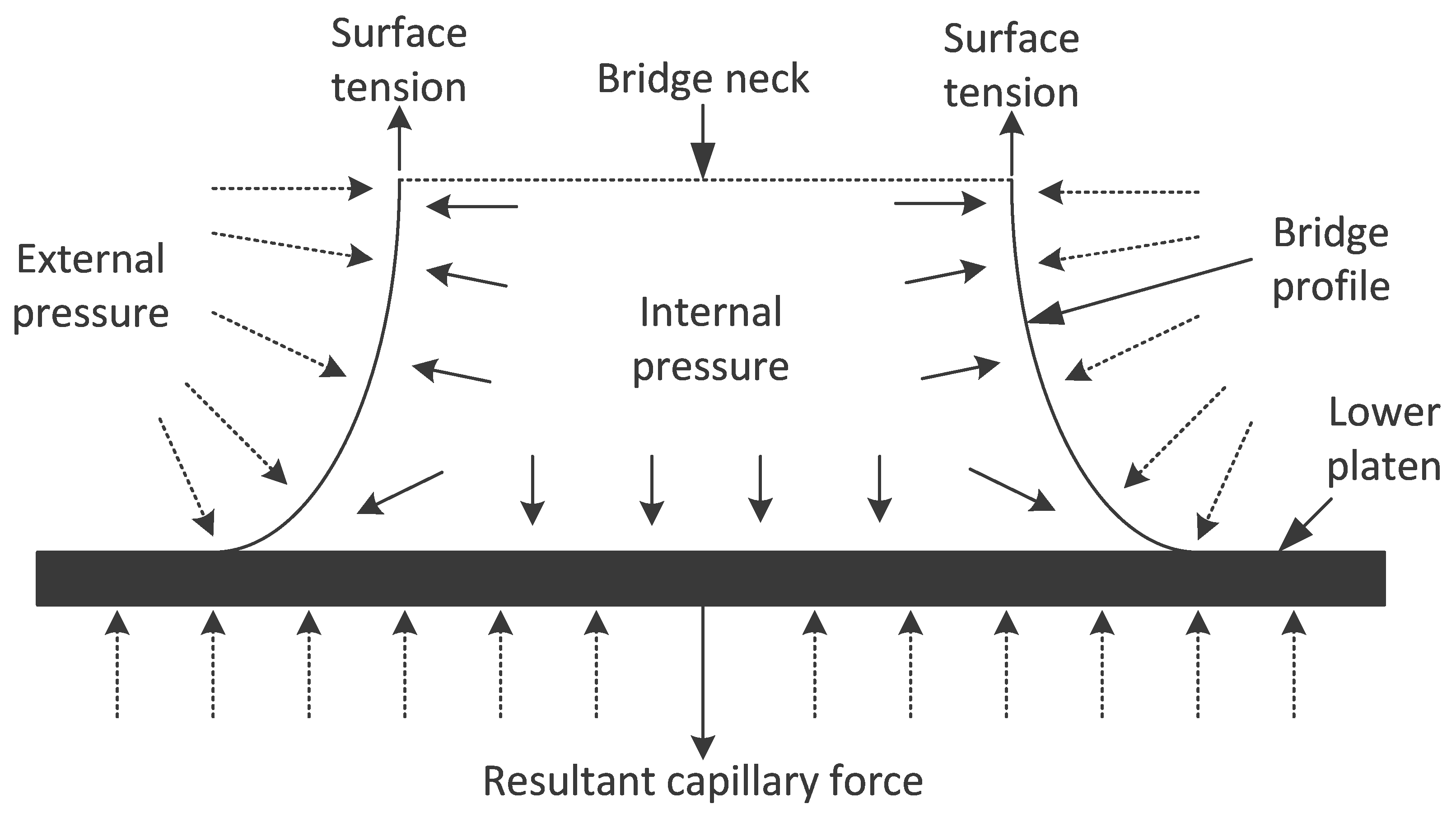 Colloids 04 00013 g002