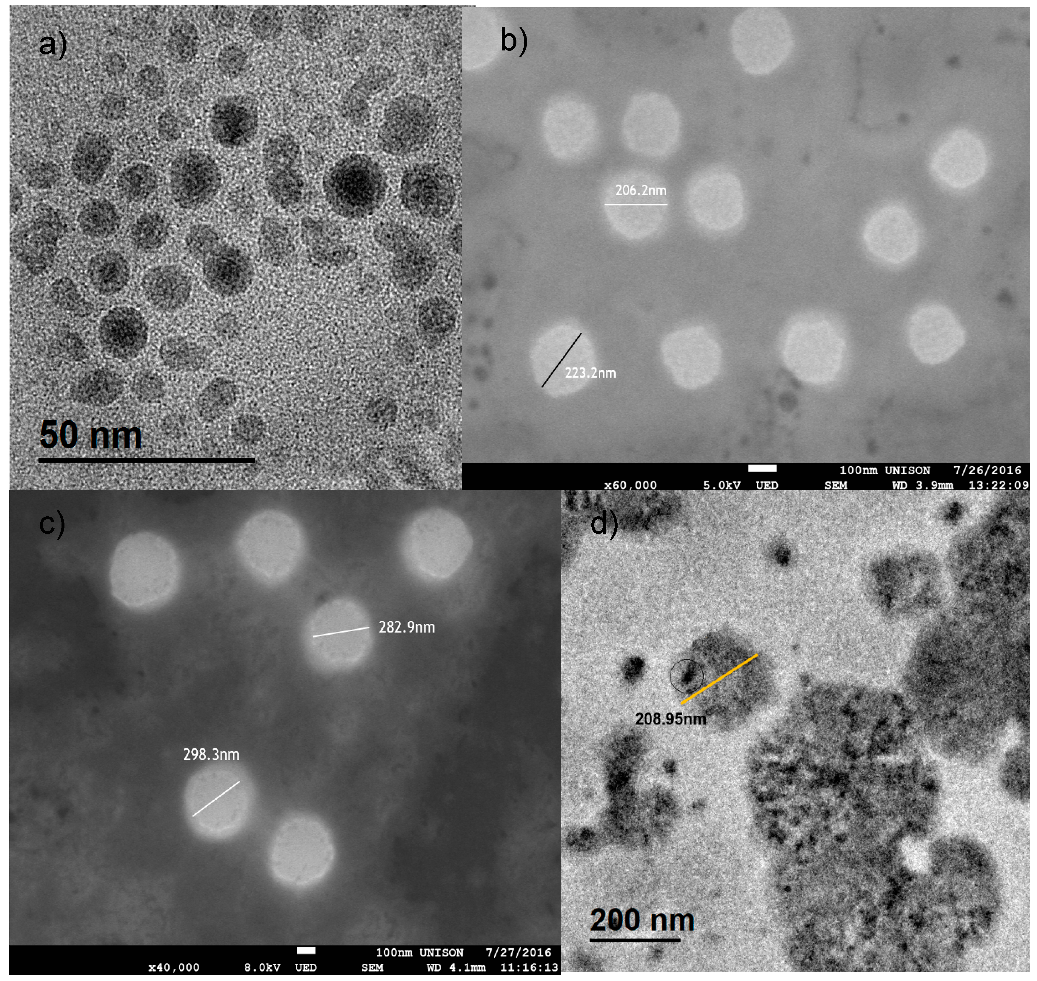 Colloids 04 00022 g001