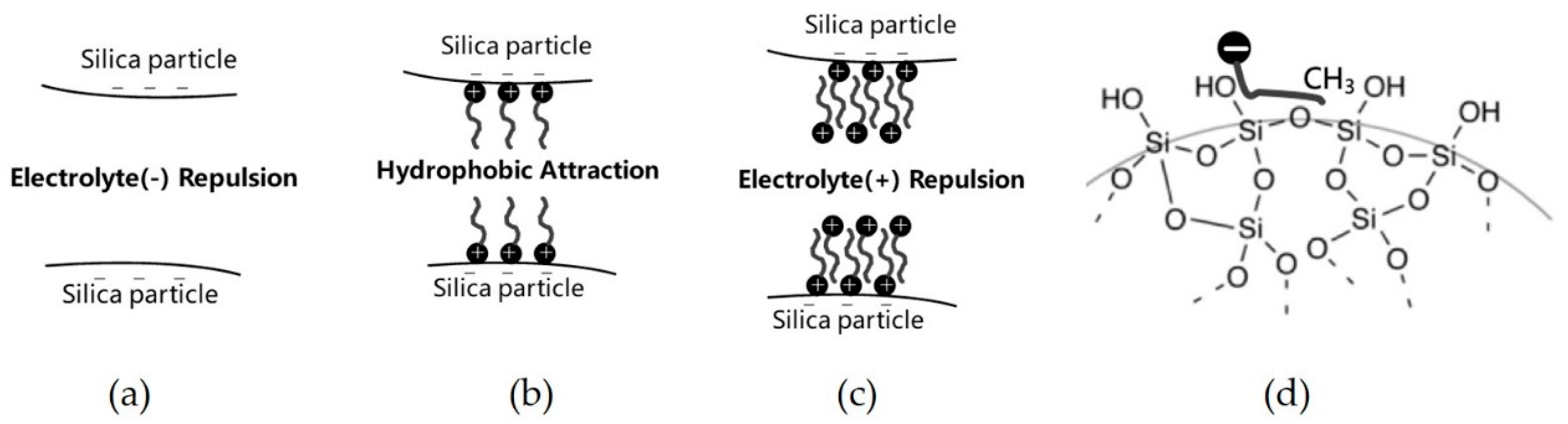 Colloids 04 00034 g012