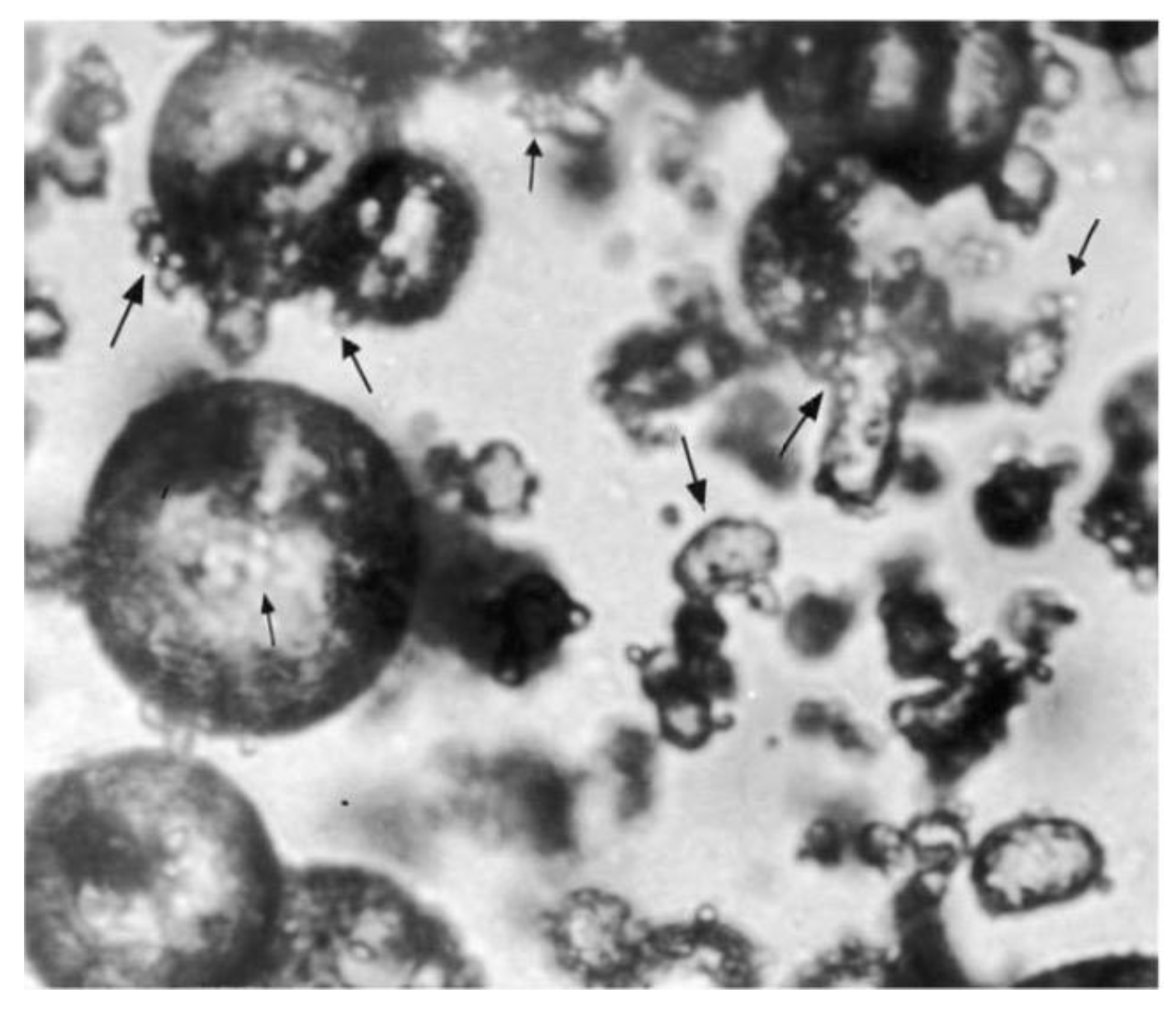 Colloids 04 00038 g006 Colloids 04 00038 g006