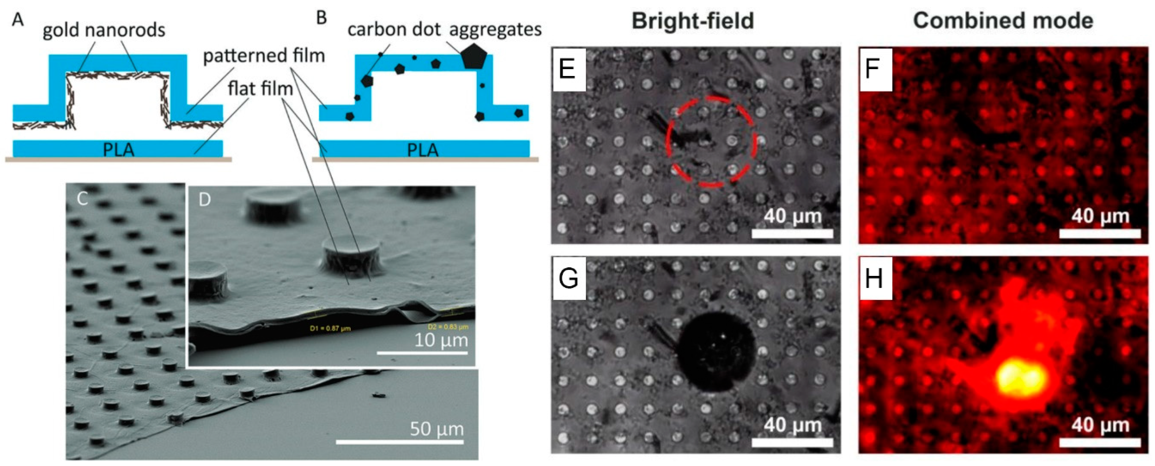 Colloids 04 00042 g004