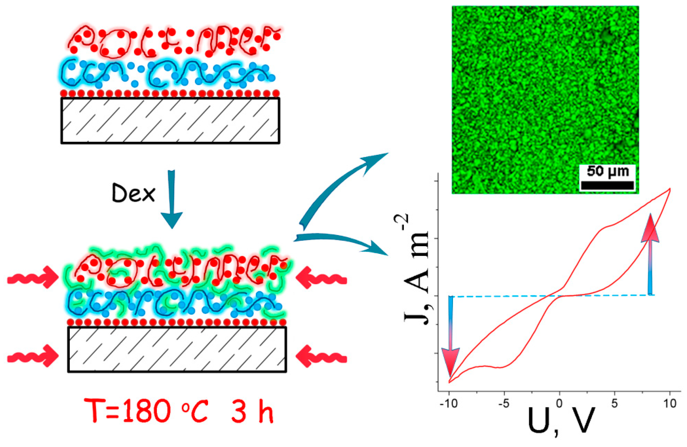Colloids 04 00042 g005
