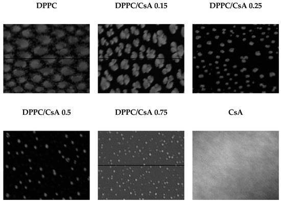 Colloids 04 00046 g002 550