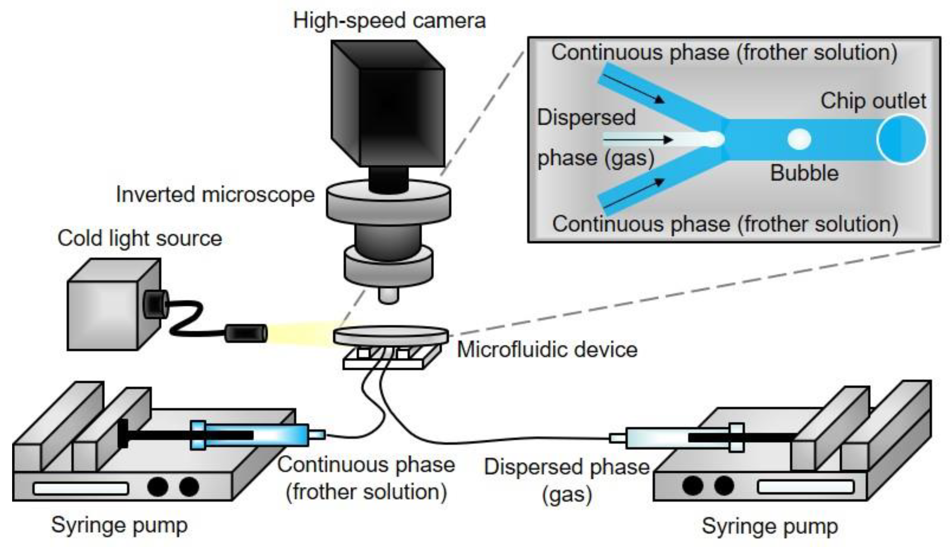 Colloids 05 00009 g001 Colloids 05 00009 g001