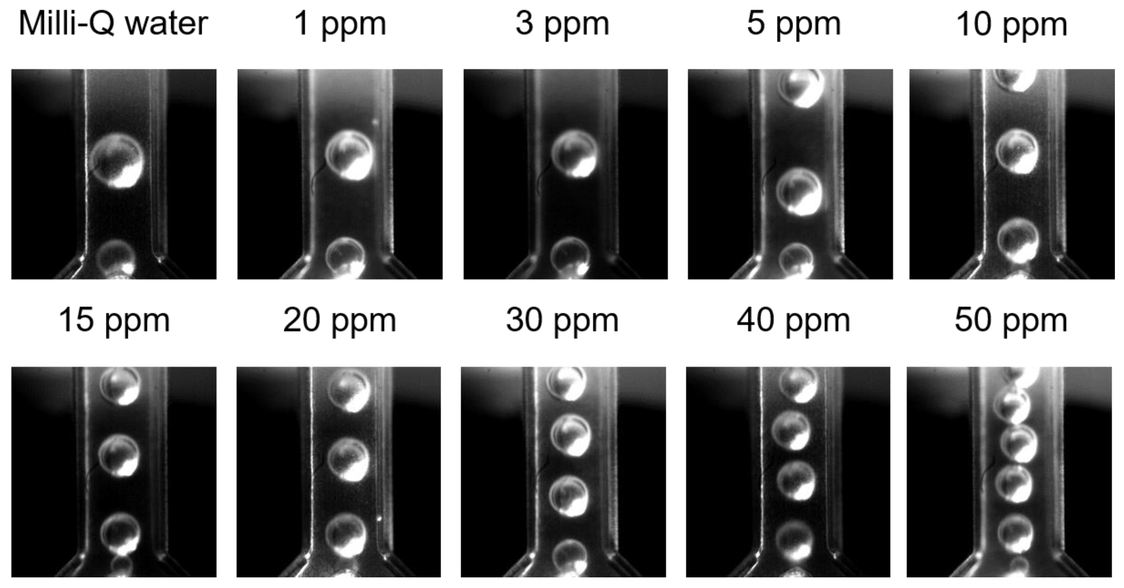 Colloids 05 00009 g004 Colloids 05 00009 g004