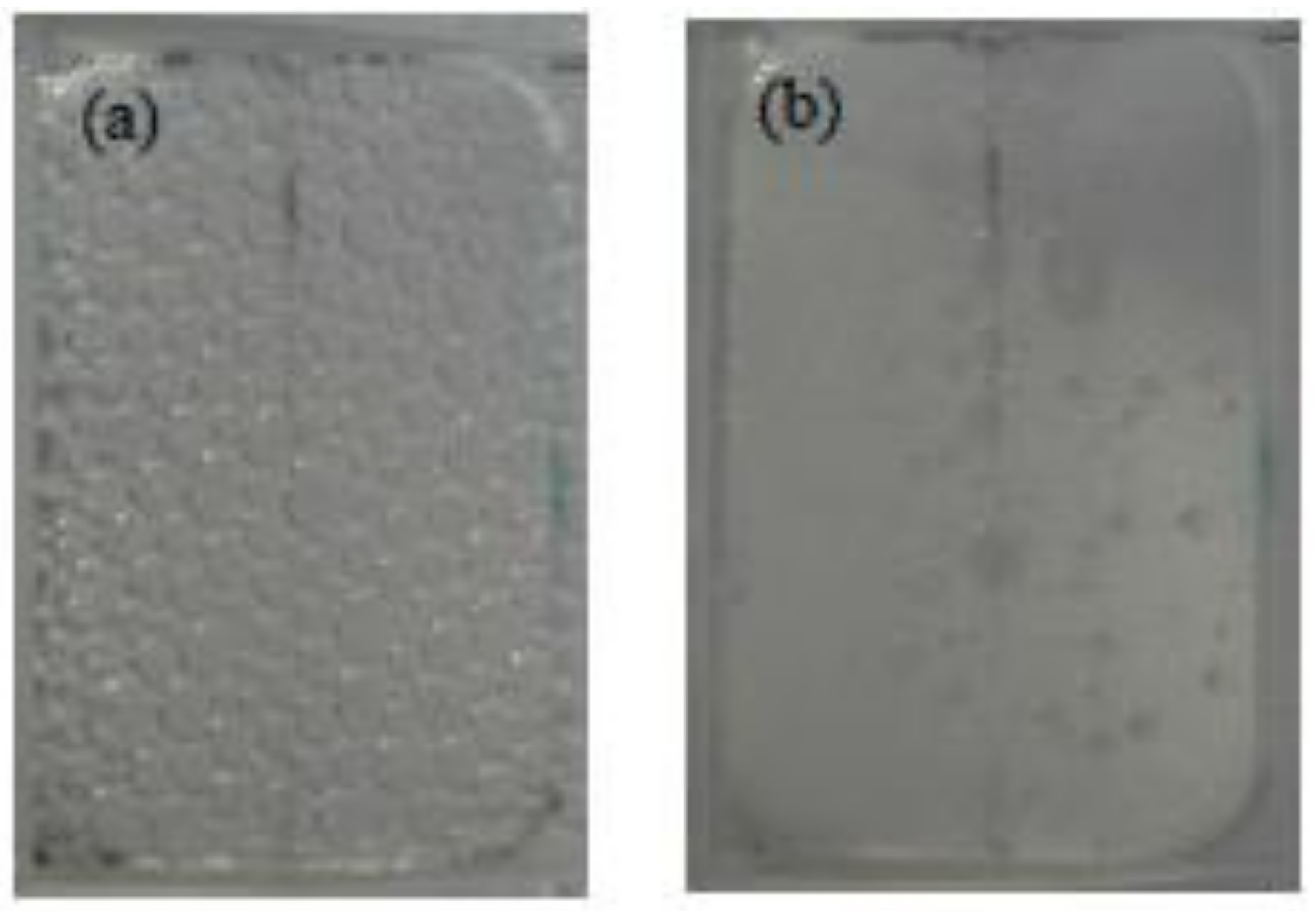 Colloids 05 00010 g007