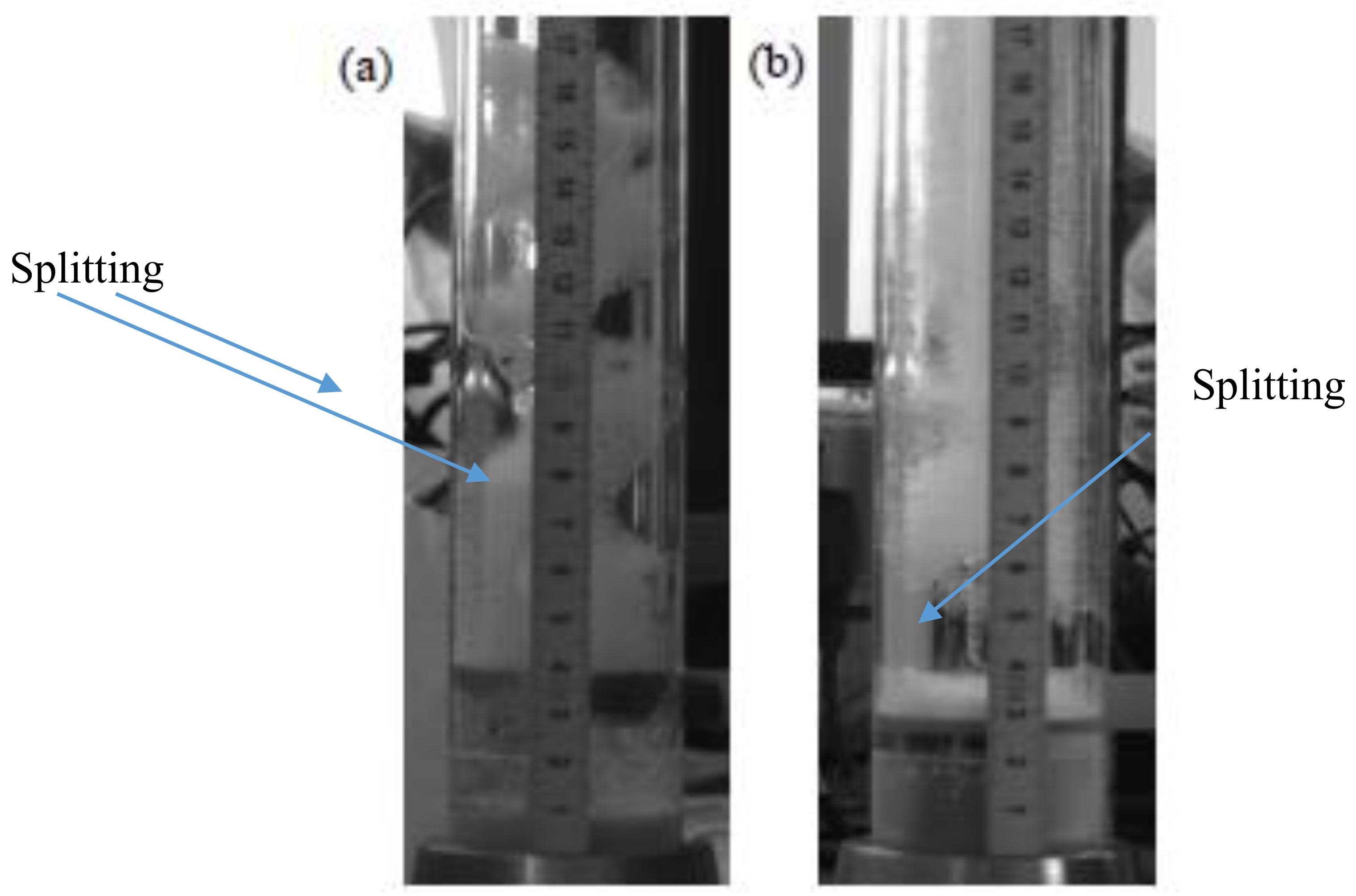 Colloids 05 00010 g009