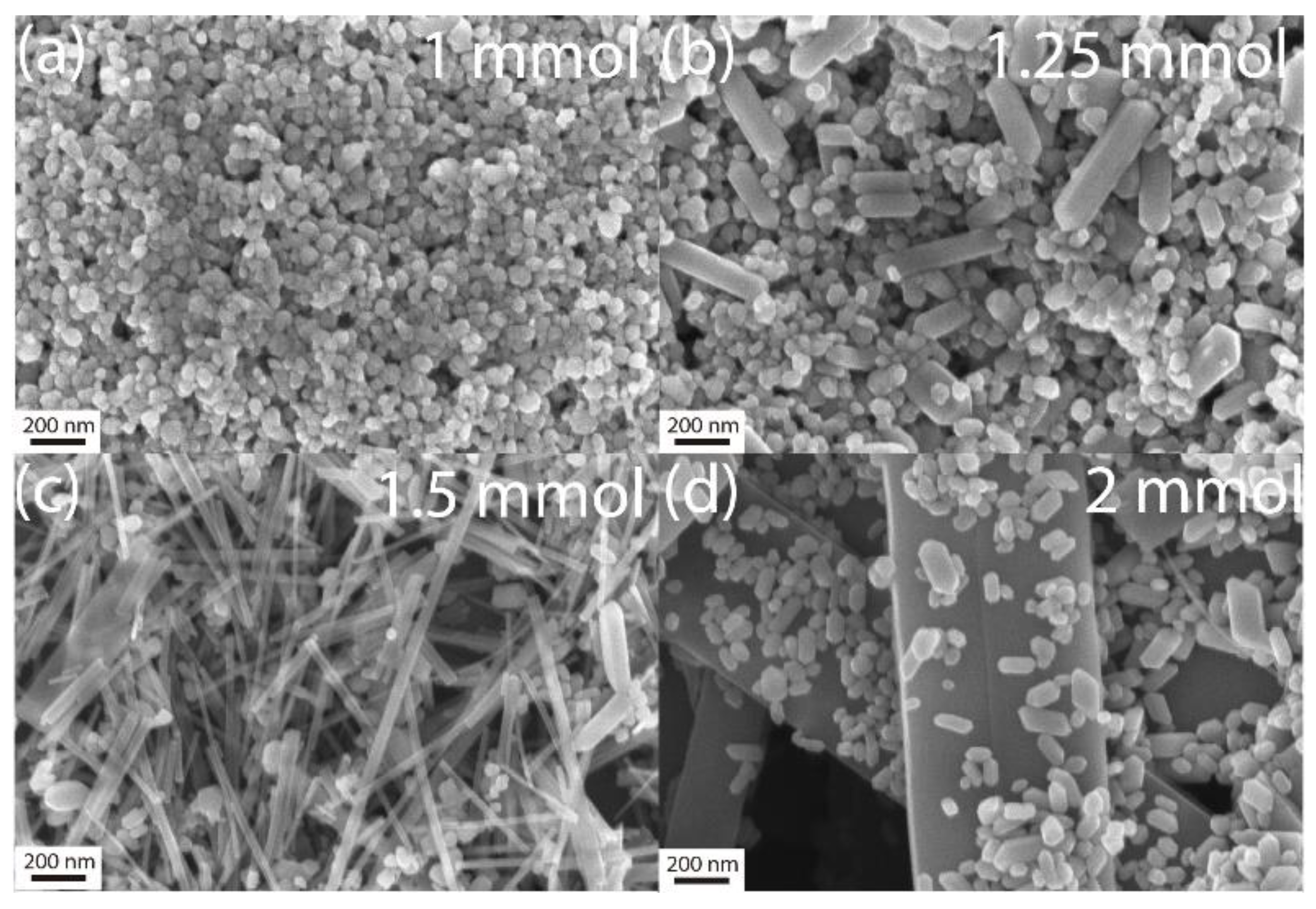 Colloids 05 00013 g006