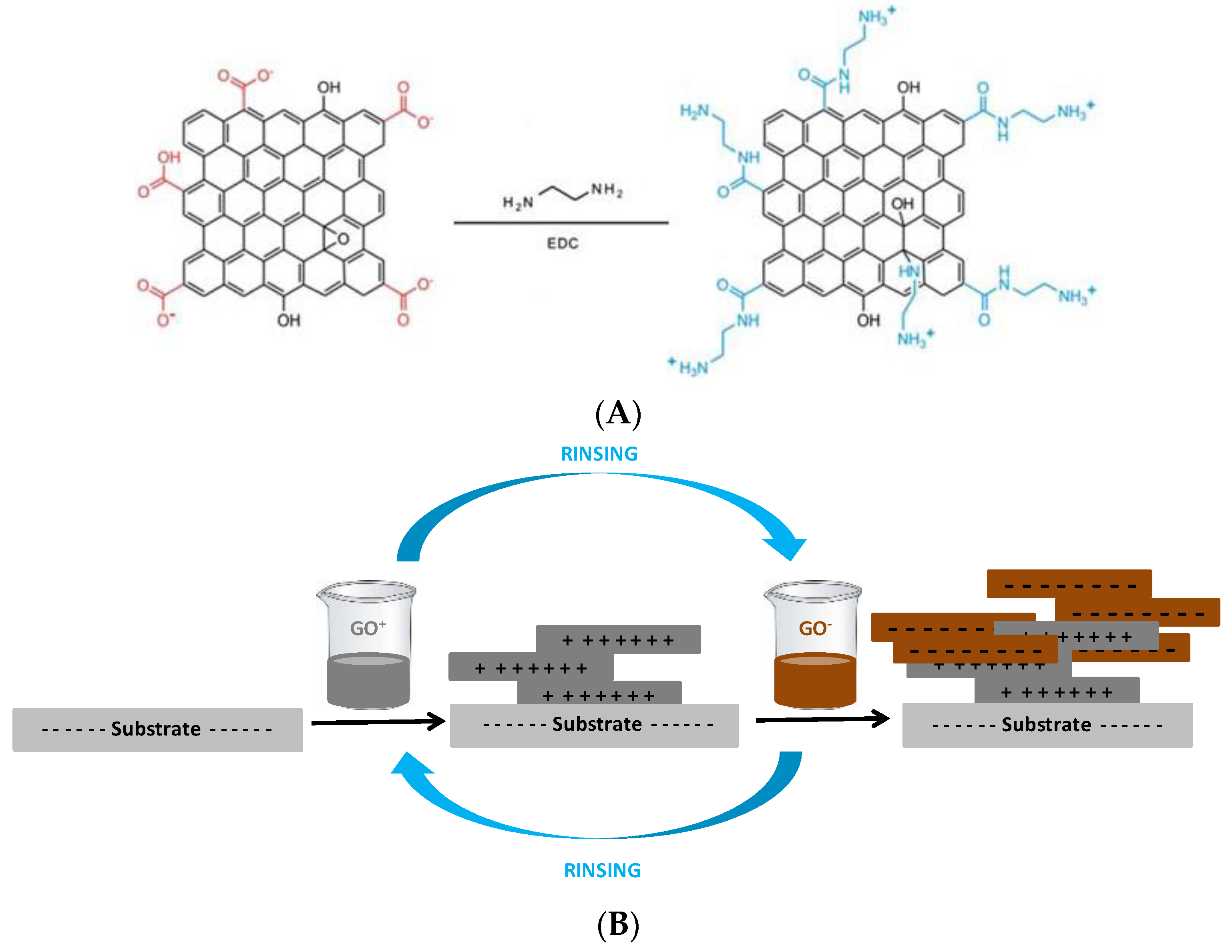 Colloids 05 00020 g001