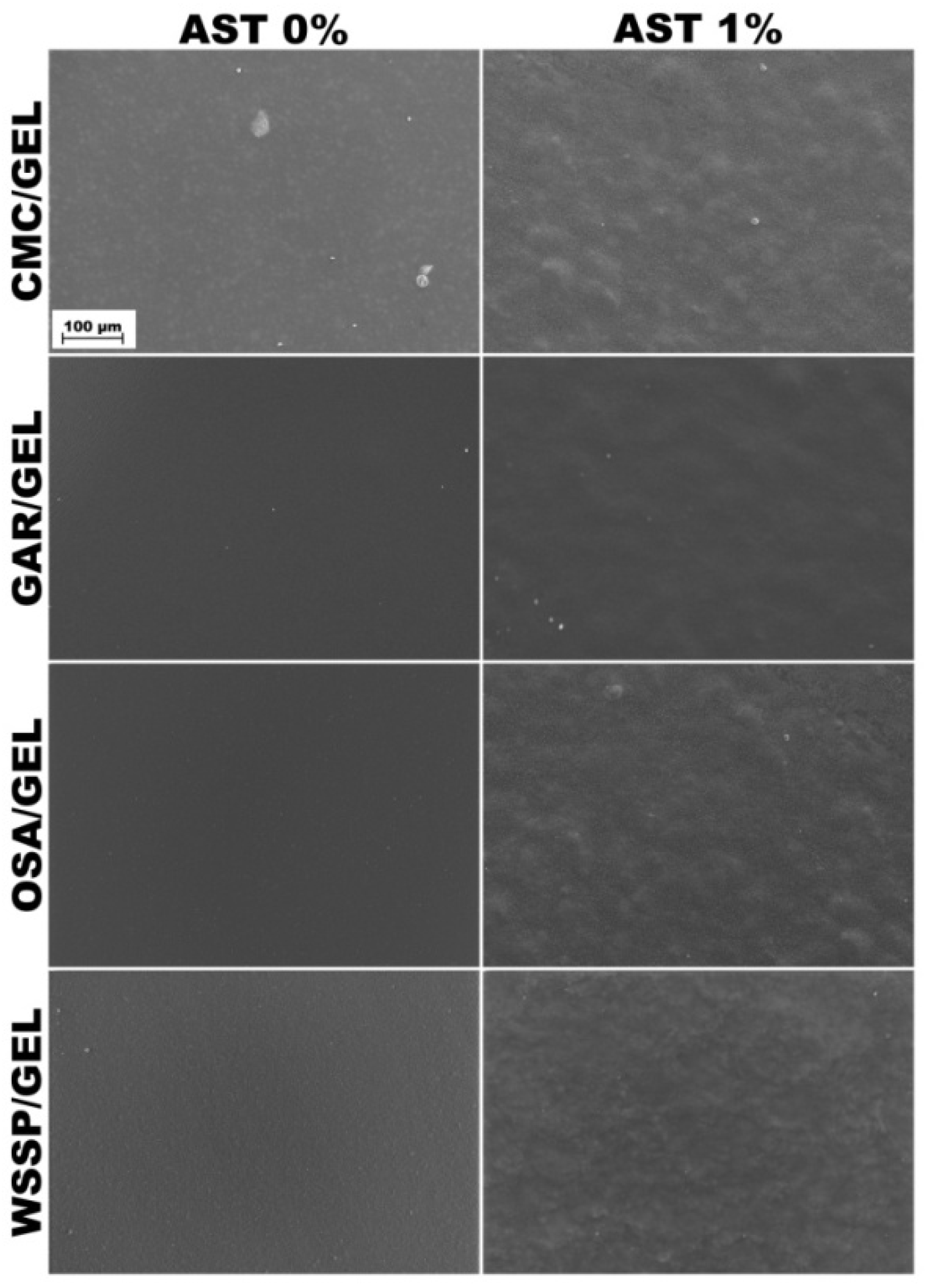 Colloids 05 00041 g001