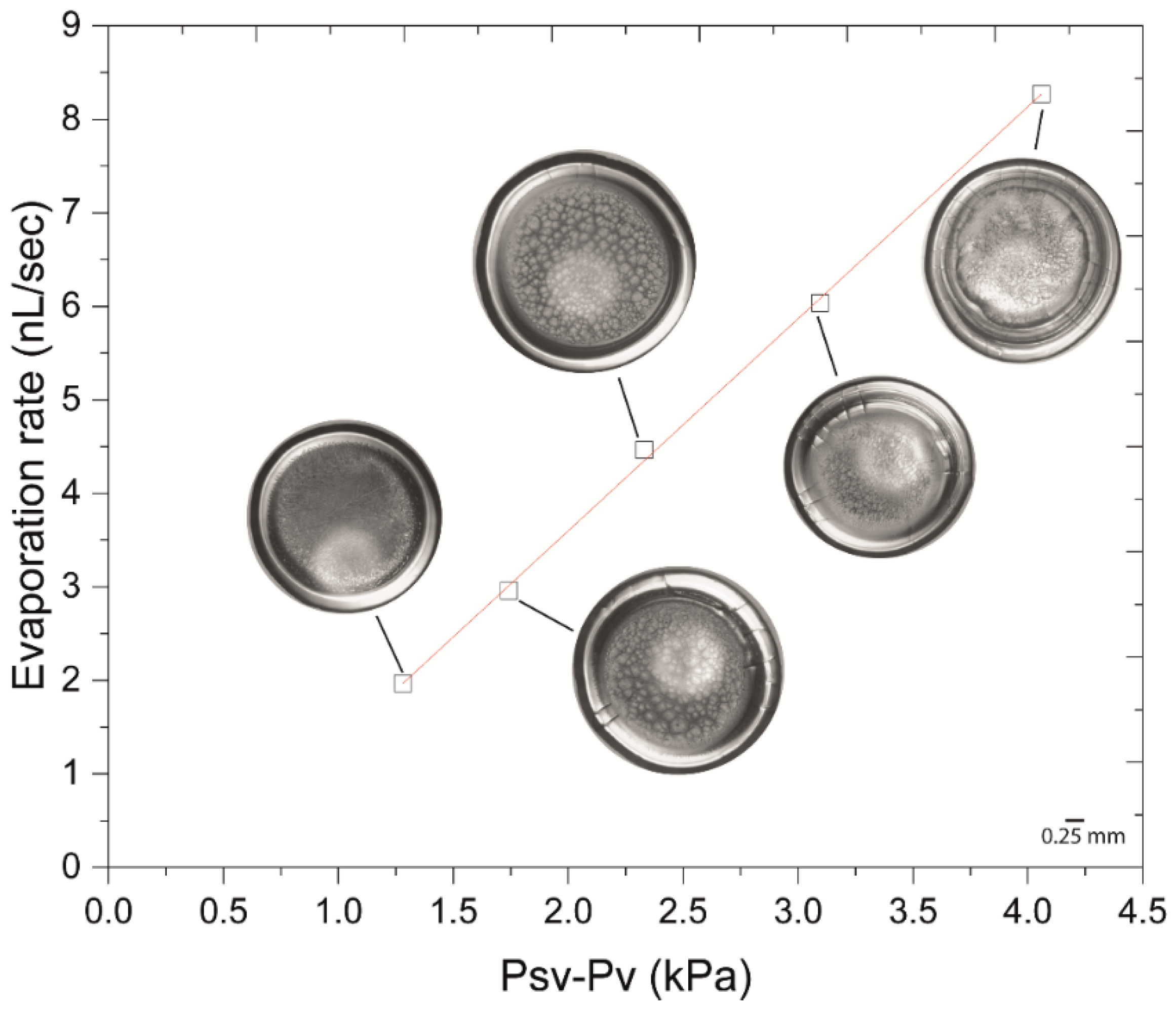Colloids 05 00043 g006