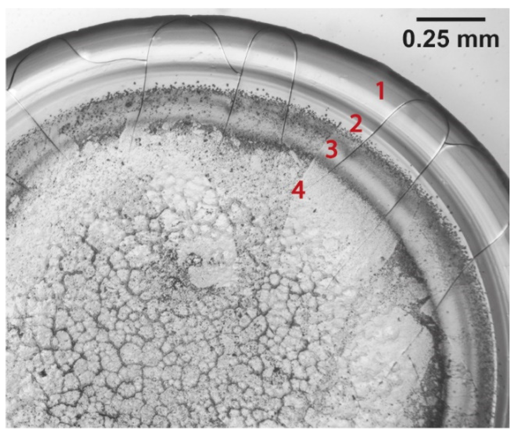 Colloids 05 00043 g007