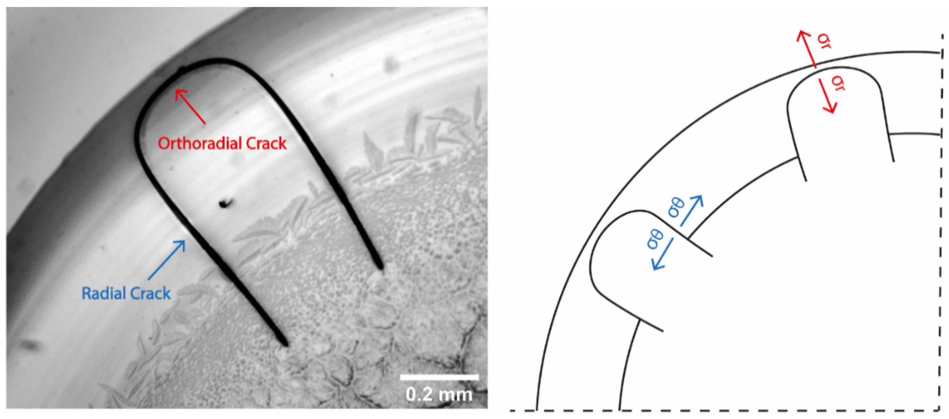 Colloids 05 00043 g012