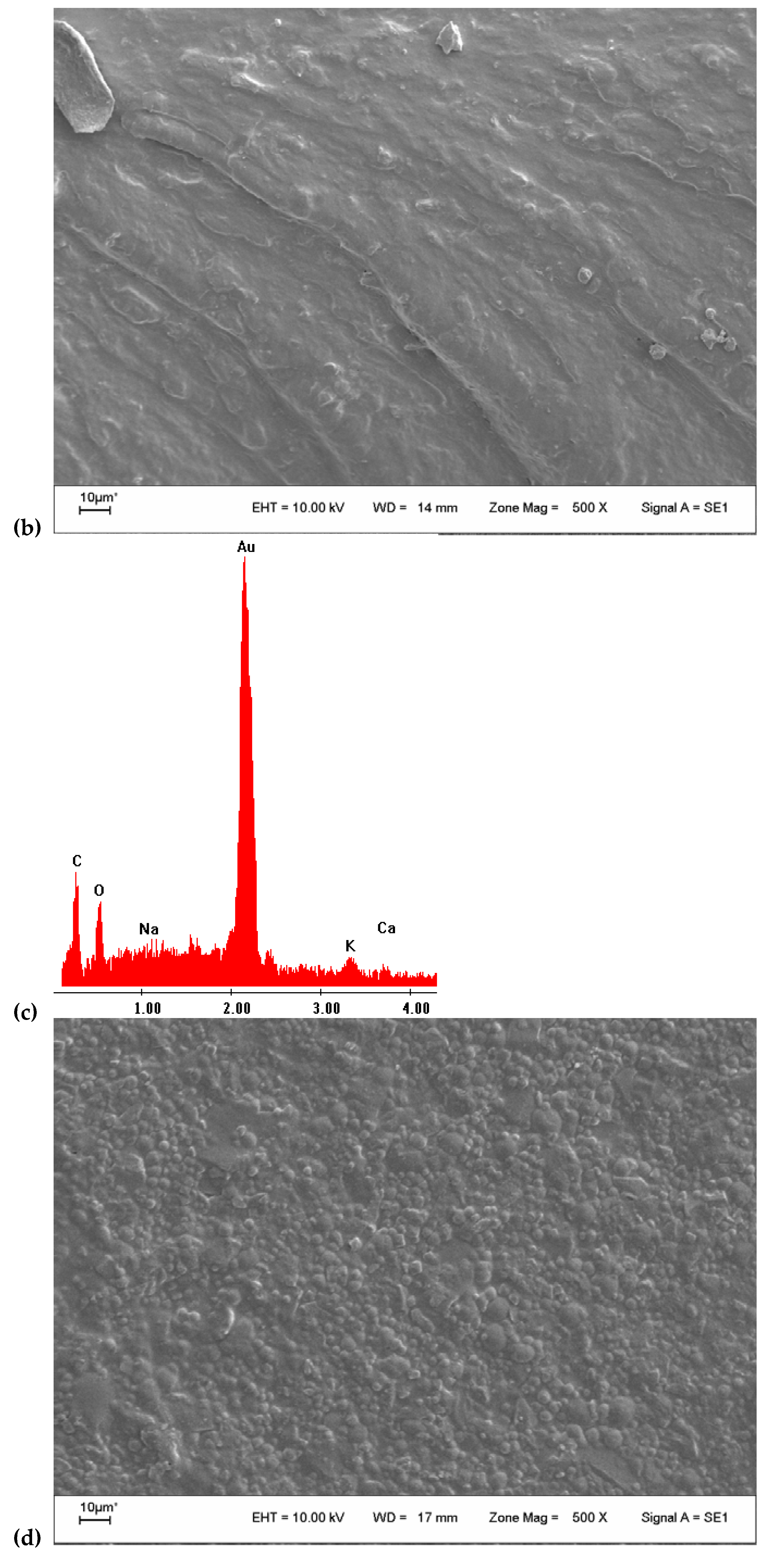 Colloids 06 00010 g002b