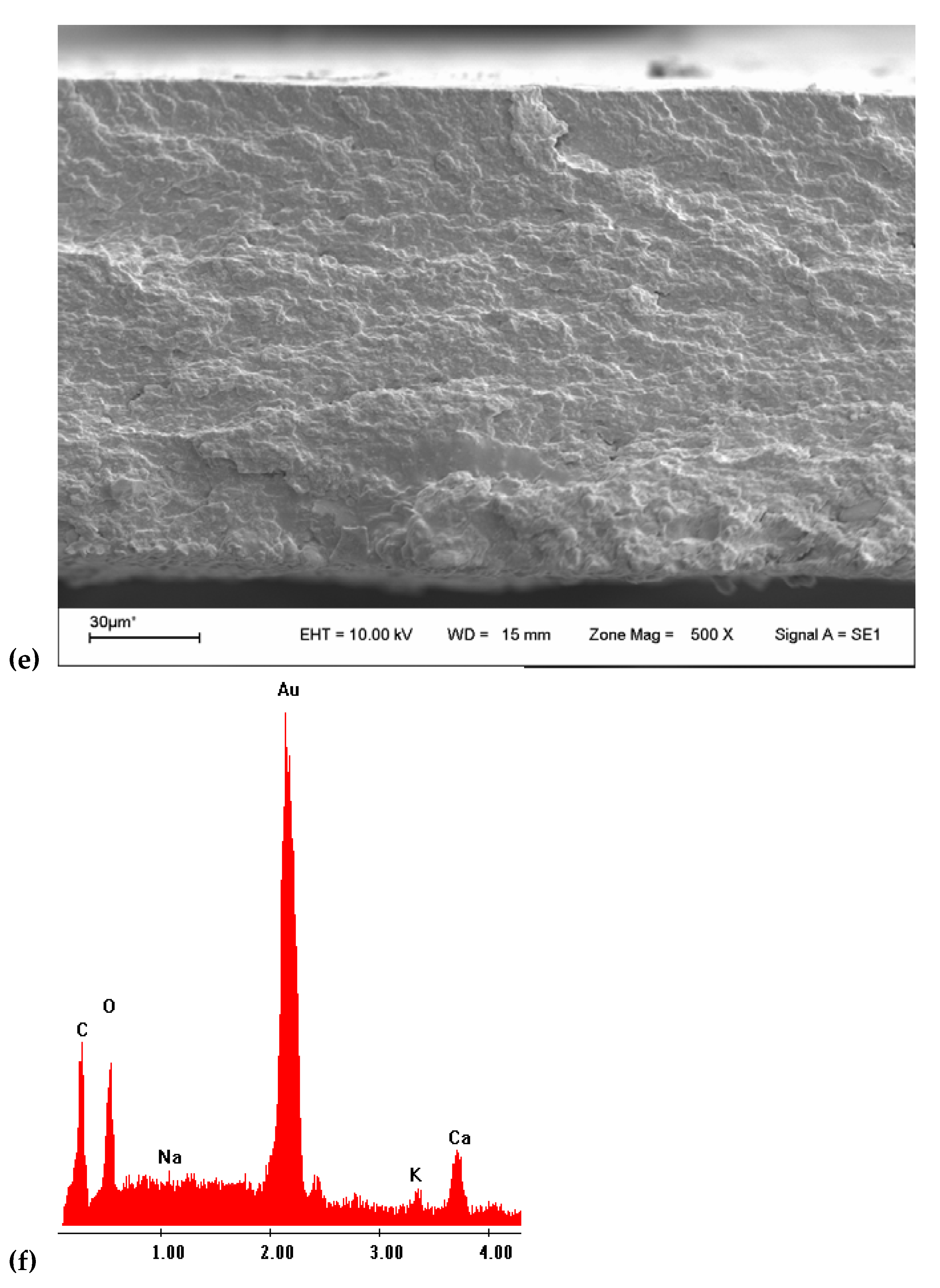 Colloids 06 00010 g002c