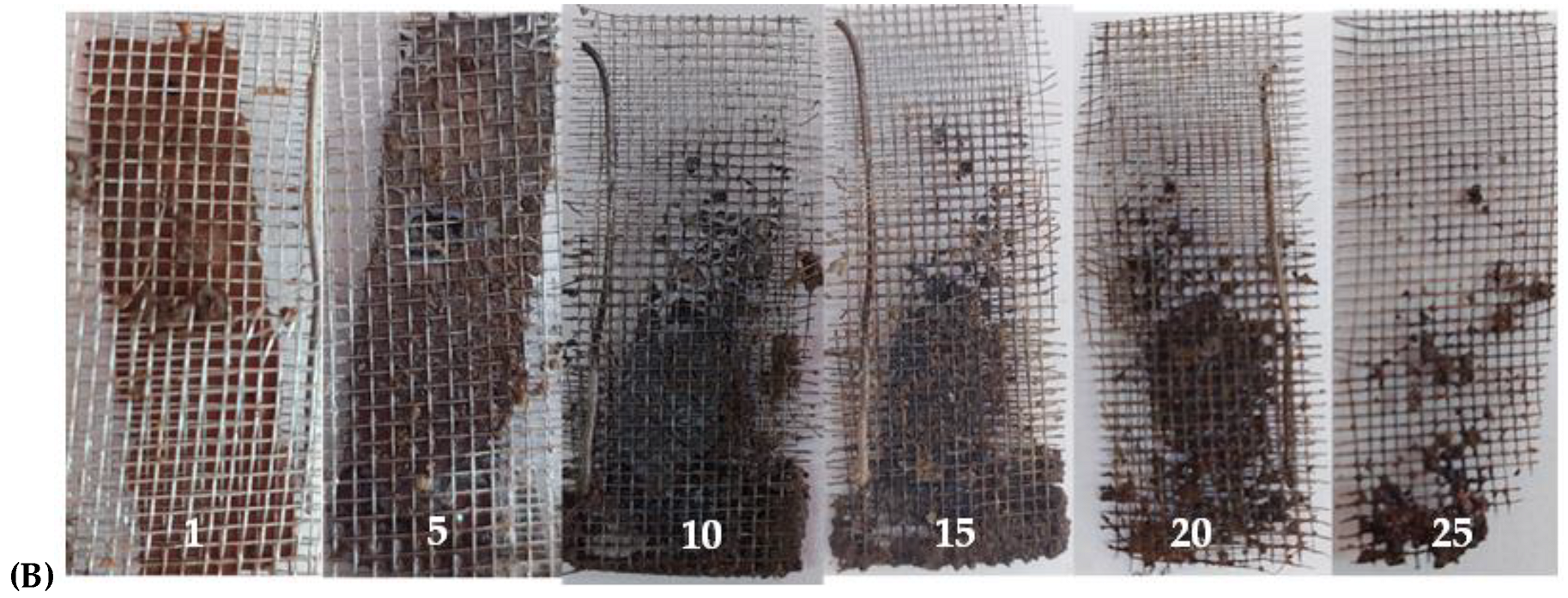 Colloids 06 00010 g011b