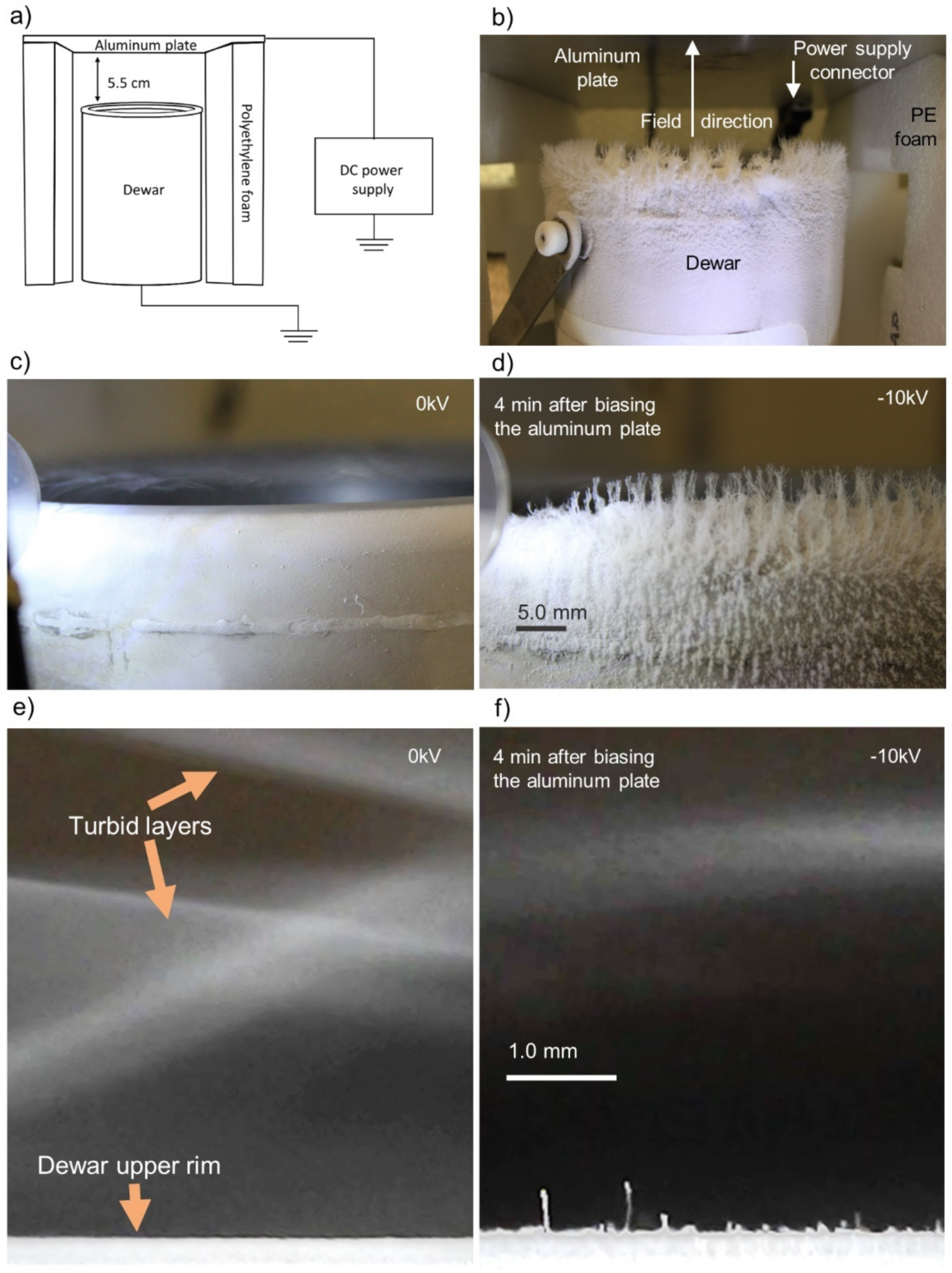 Colloids 06 00013 g002