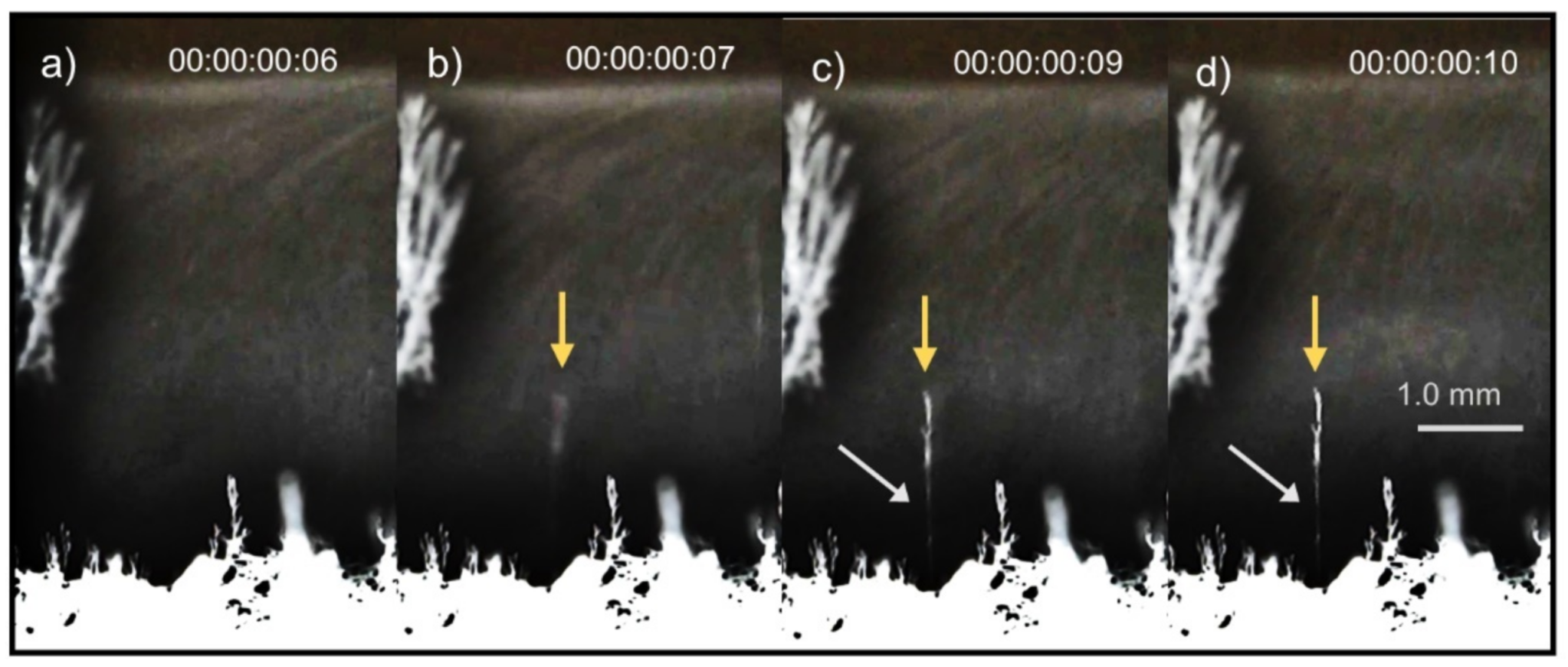 Colloids 06 00013 g004