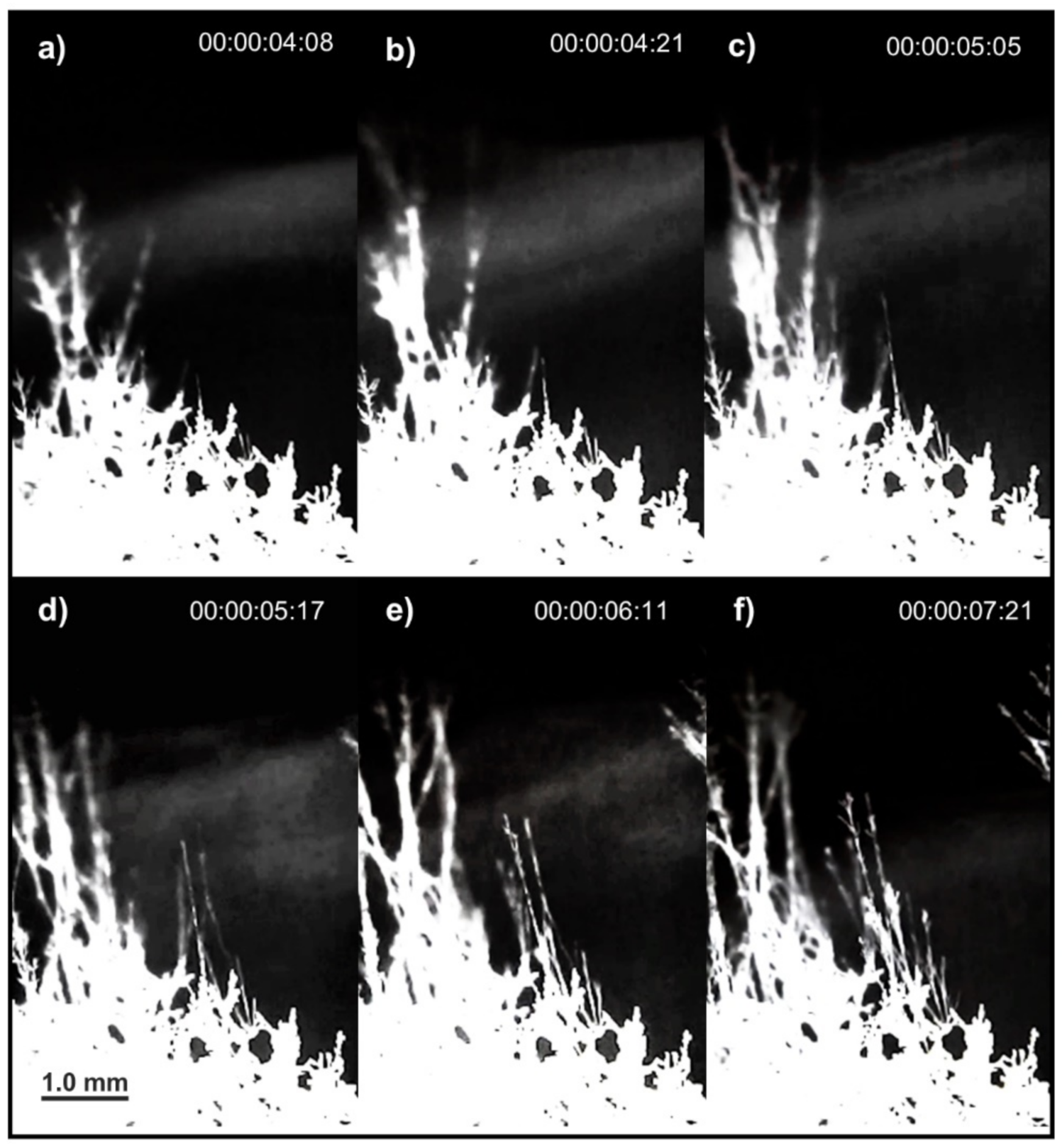 Colloids 06 00013 g005