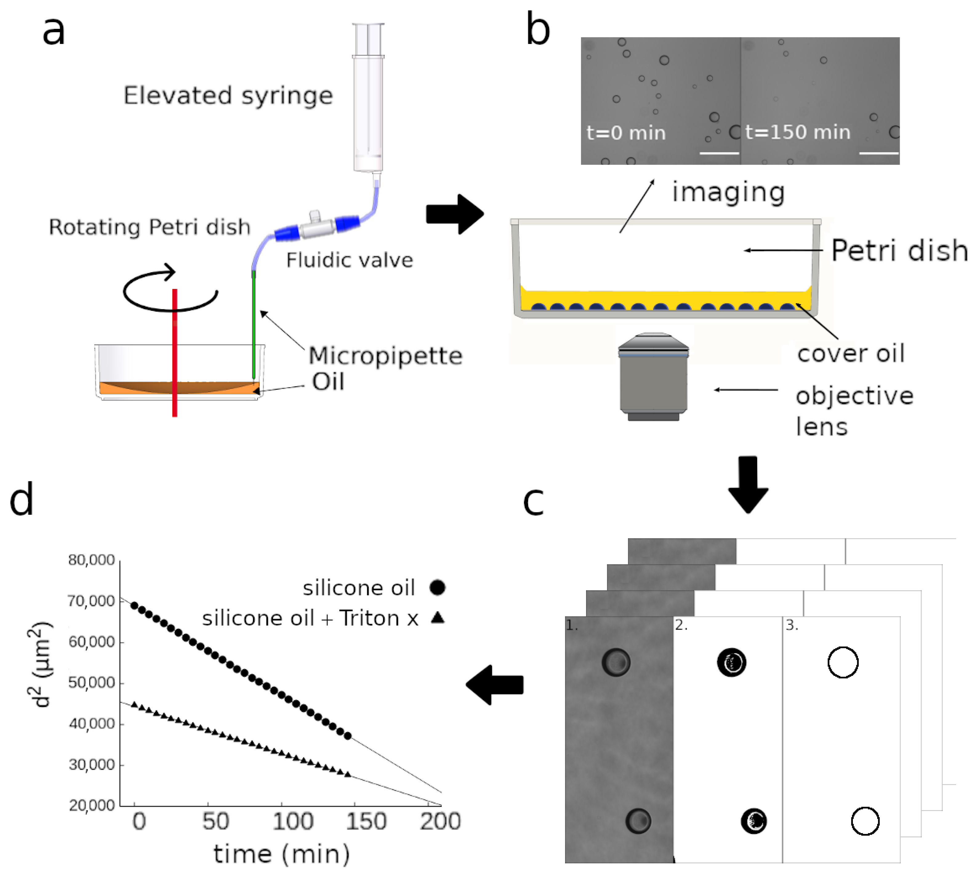 Colloids 06 00014 g001 Colloids 06 00014 g001
