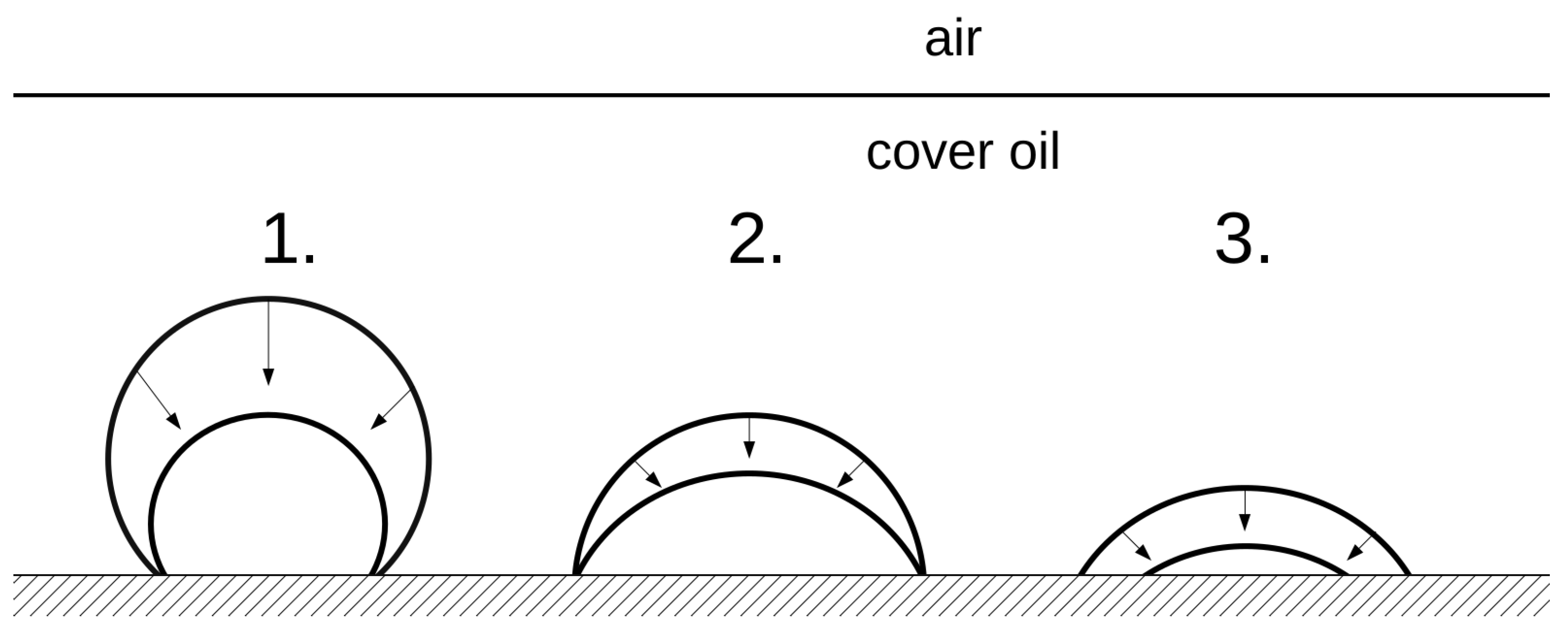 Colloids 06 00014 g005 Colloids 06 00014 g005