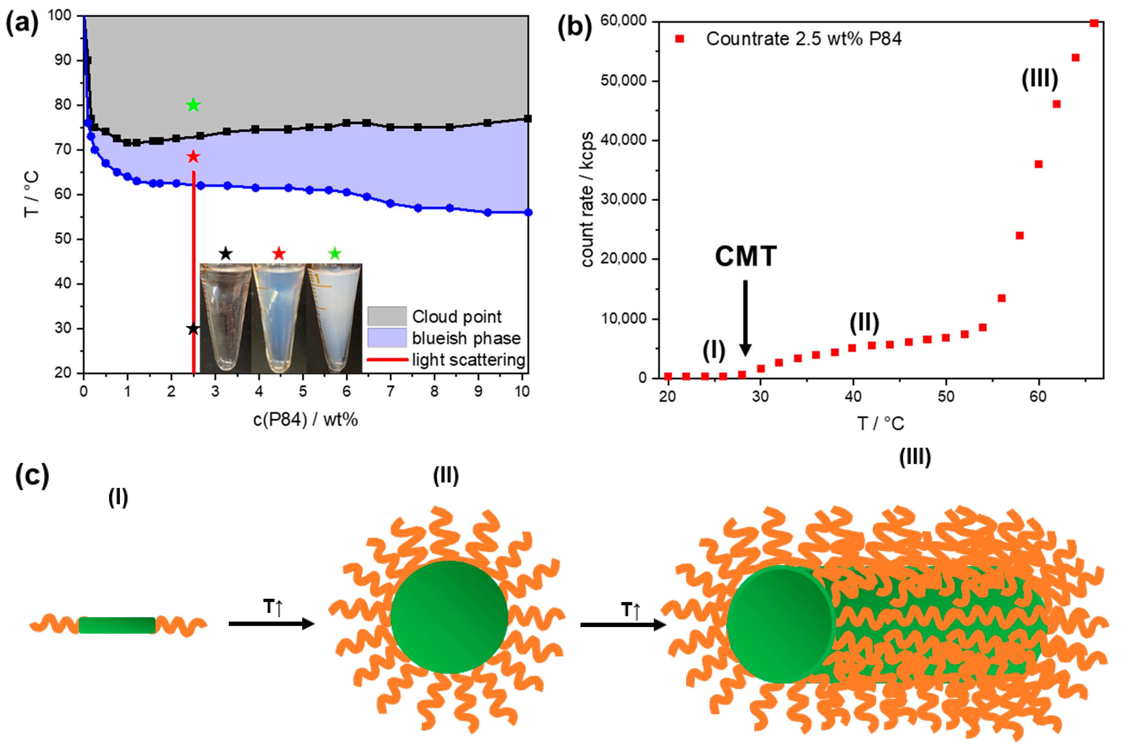 Colloids 06 00016 g002