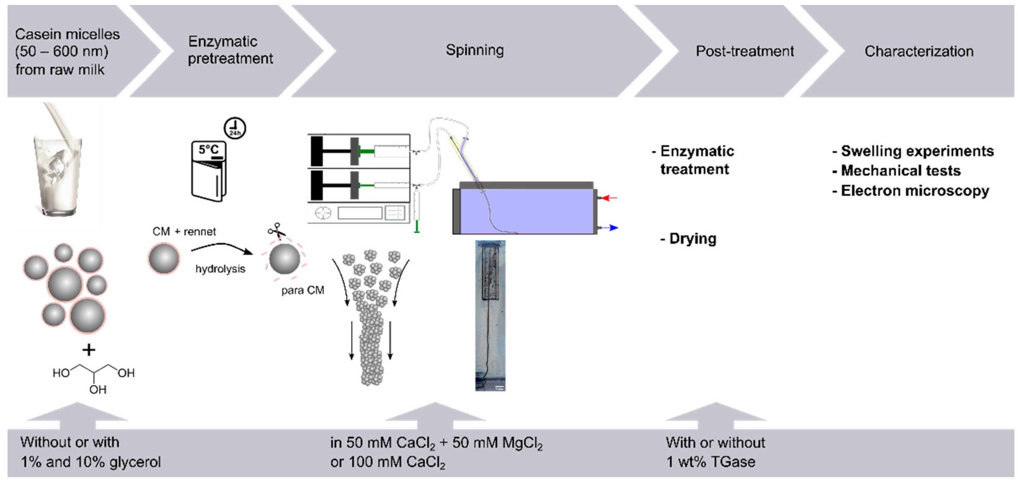 Colloids 06 00017 g001