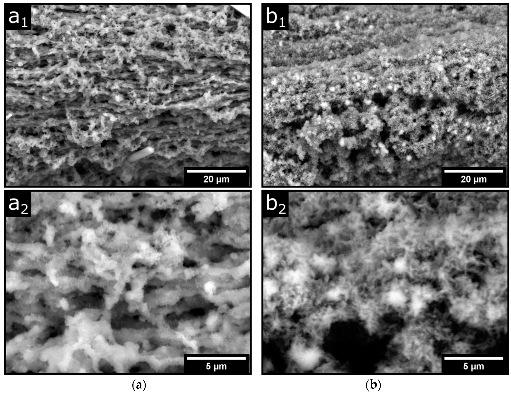 Colloids 06 00017 g005