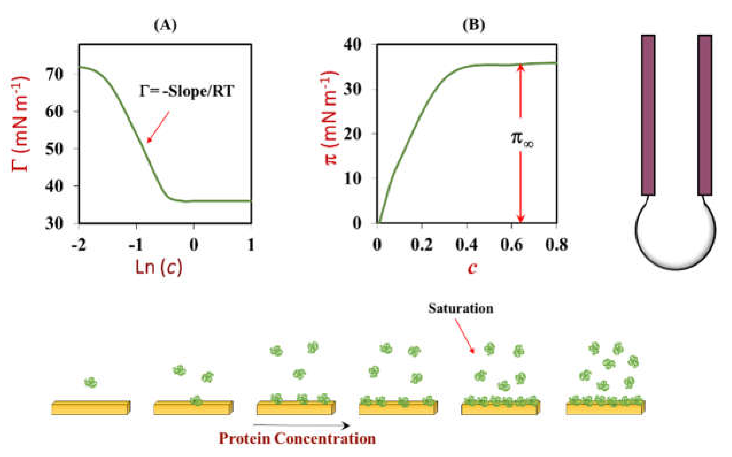 Colloids 06 00019 g016