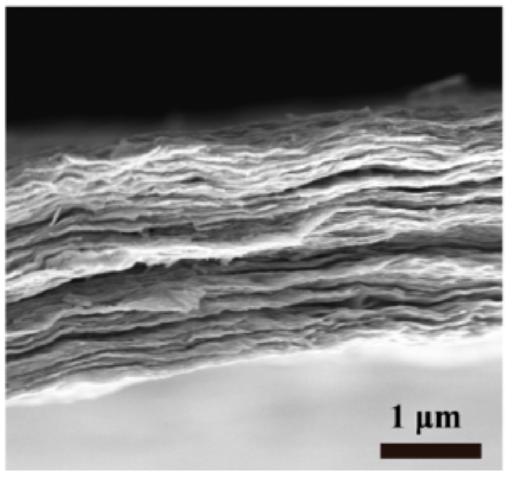 Colloids 06 00020 g001