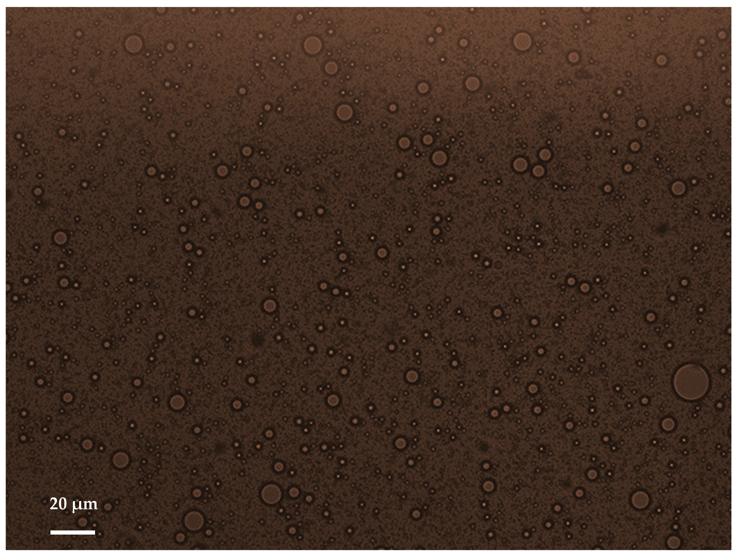 Colloids 06 00021 g001
