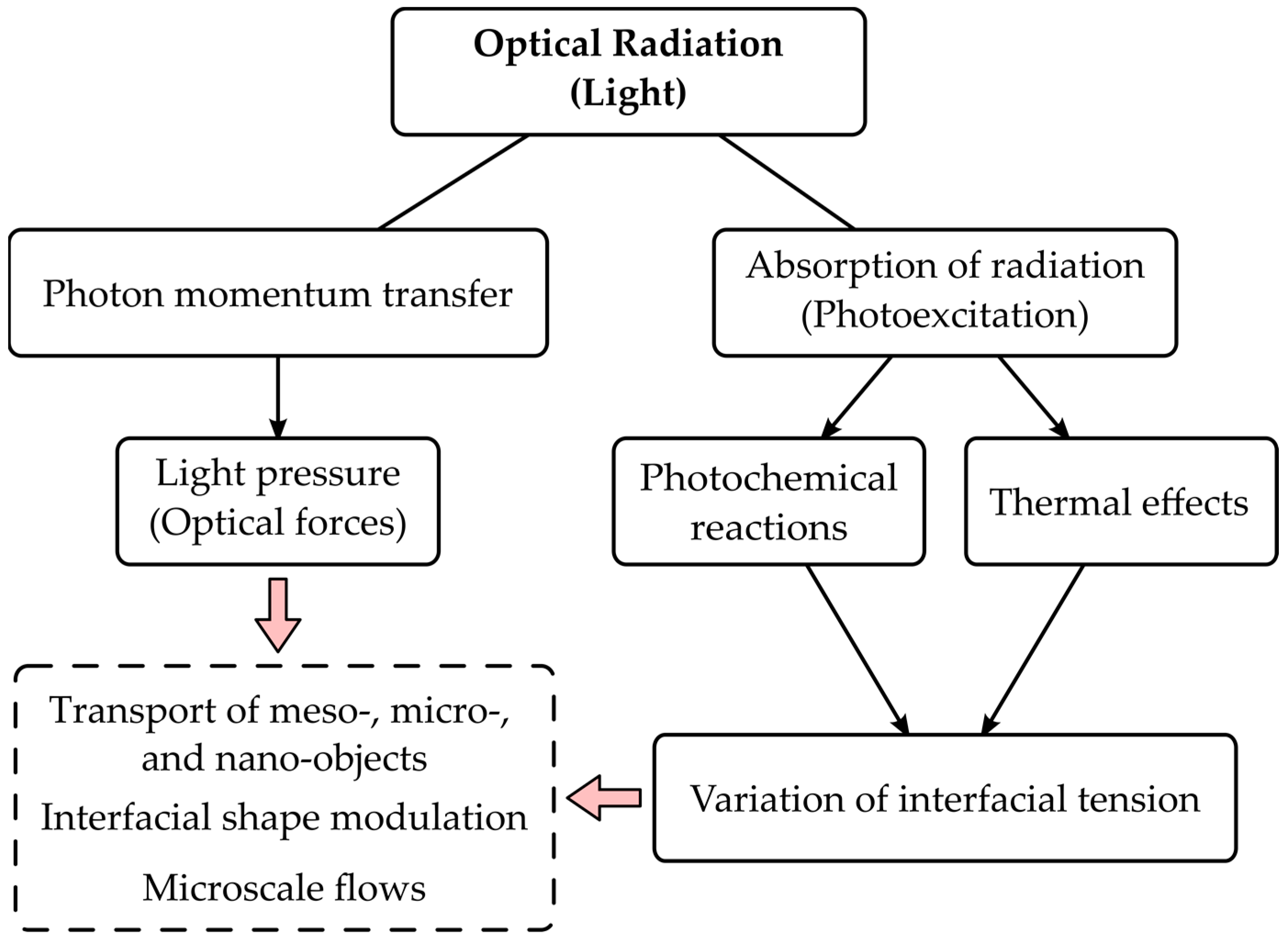 Colloids 06 00031 g001