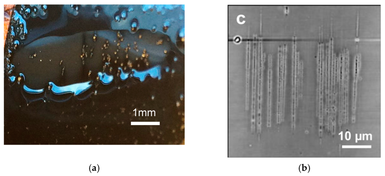 Colloids 06 00031 g003