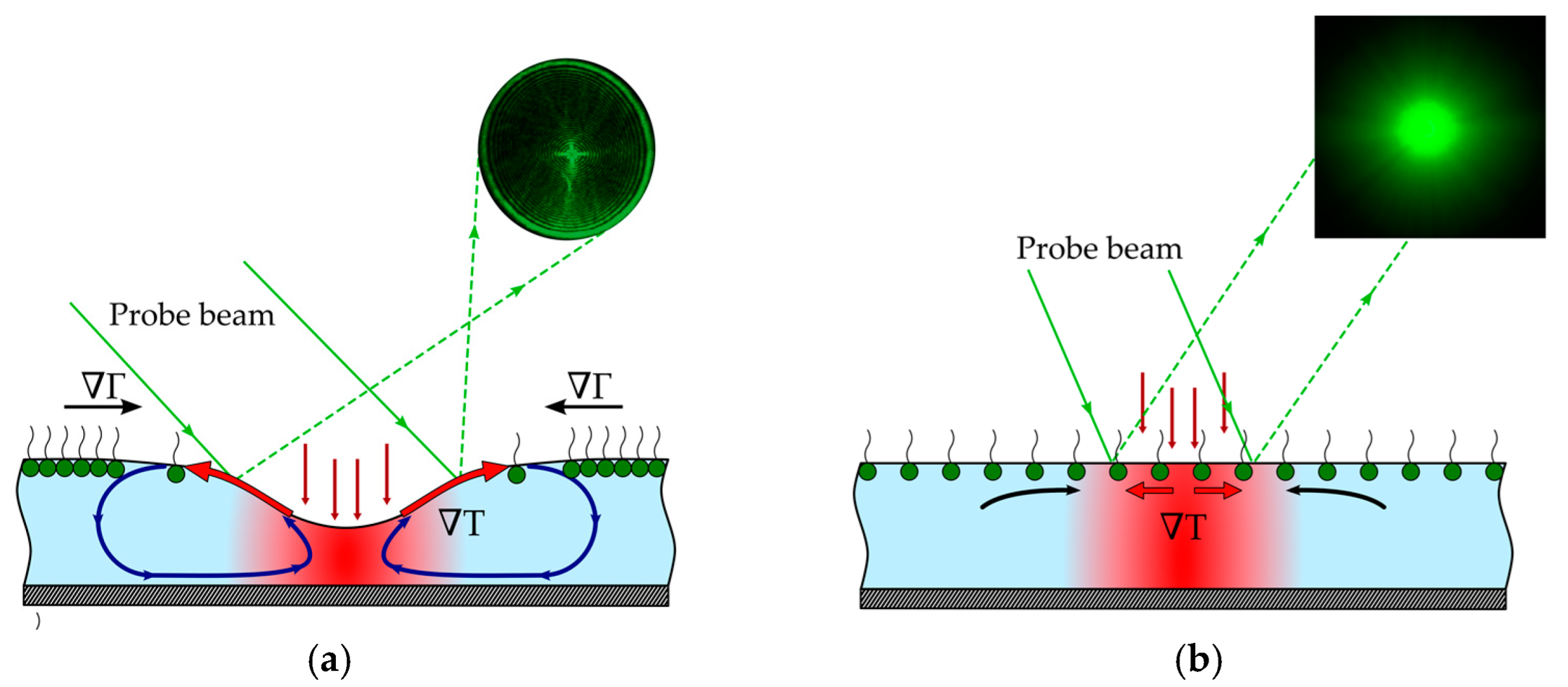 Colloids 06 00031 g004