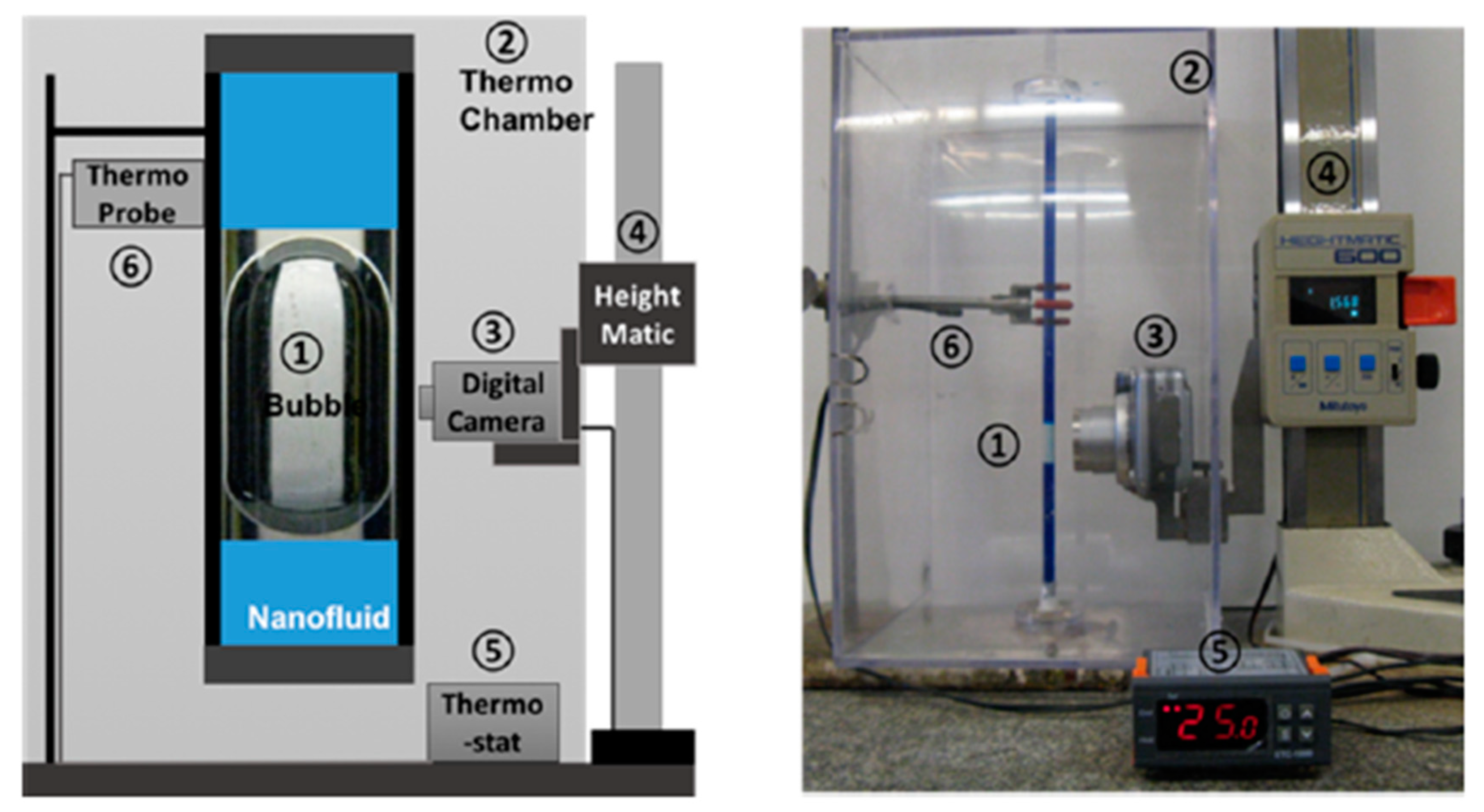 Colloids 06 00033 g004