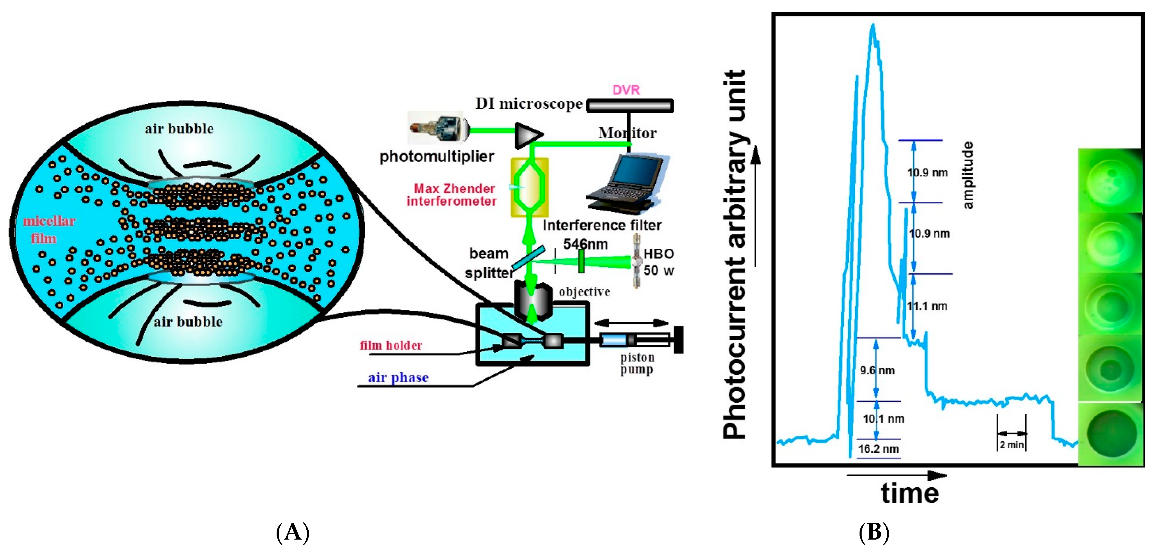 Colloids 06 00033 g006