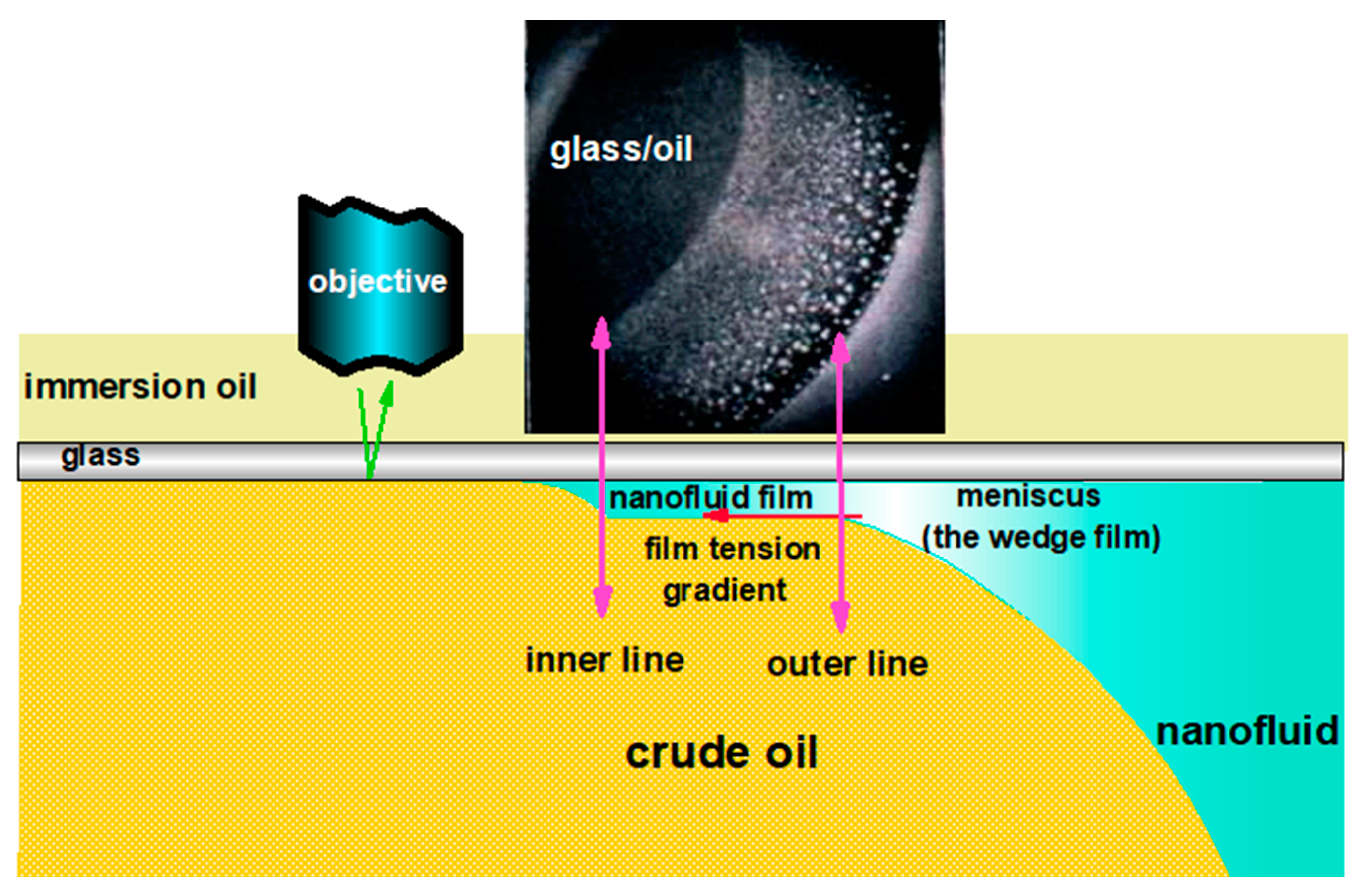 Colloids 06 00033 g009